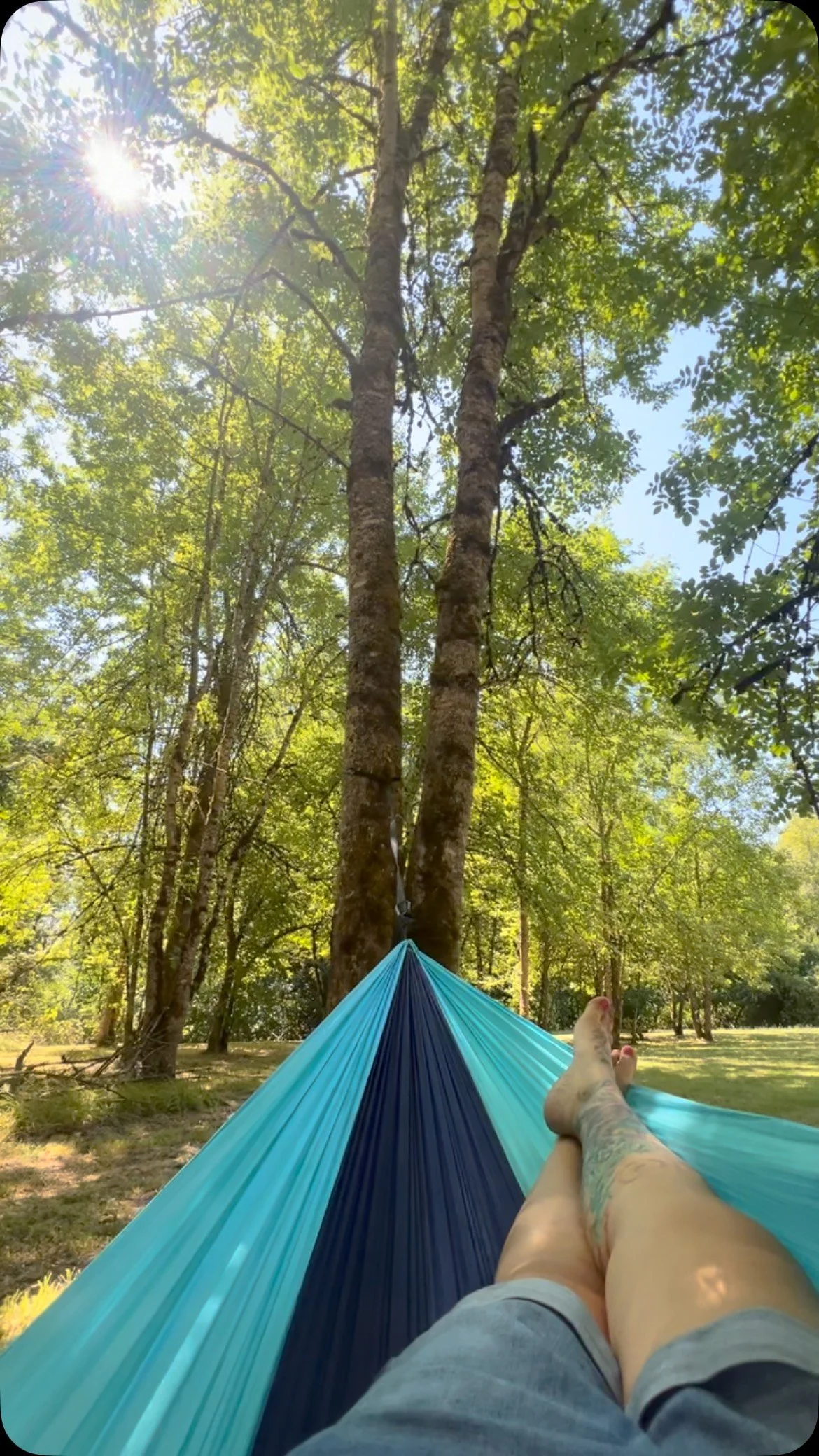 Yesterday’s moment of peace.