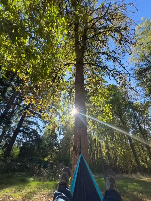 Self-care between clients on a brilliant Autumn day
#naturebasedtherapy #ecotherapy #hammocktherapy #ecotherapyinpractice #ecotherapist #selfcare #forestbathing #outsideeveryday #therapyoutside