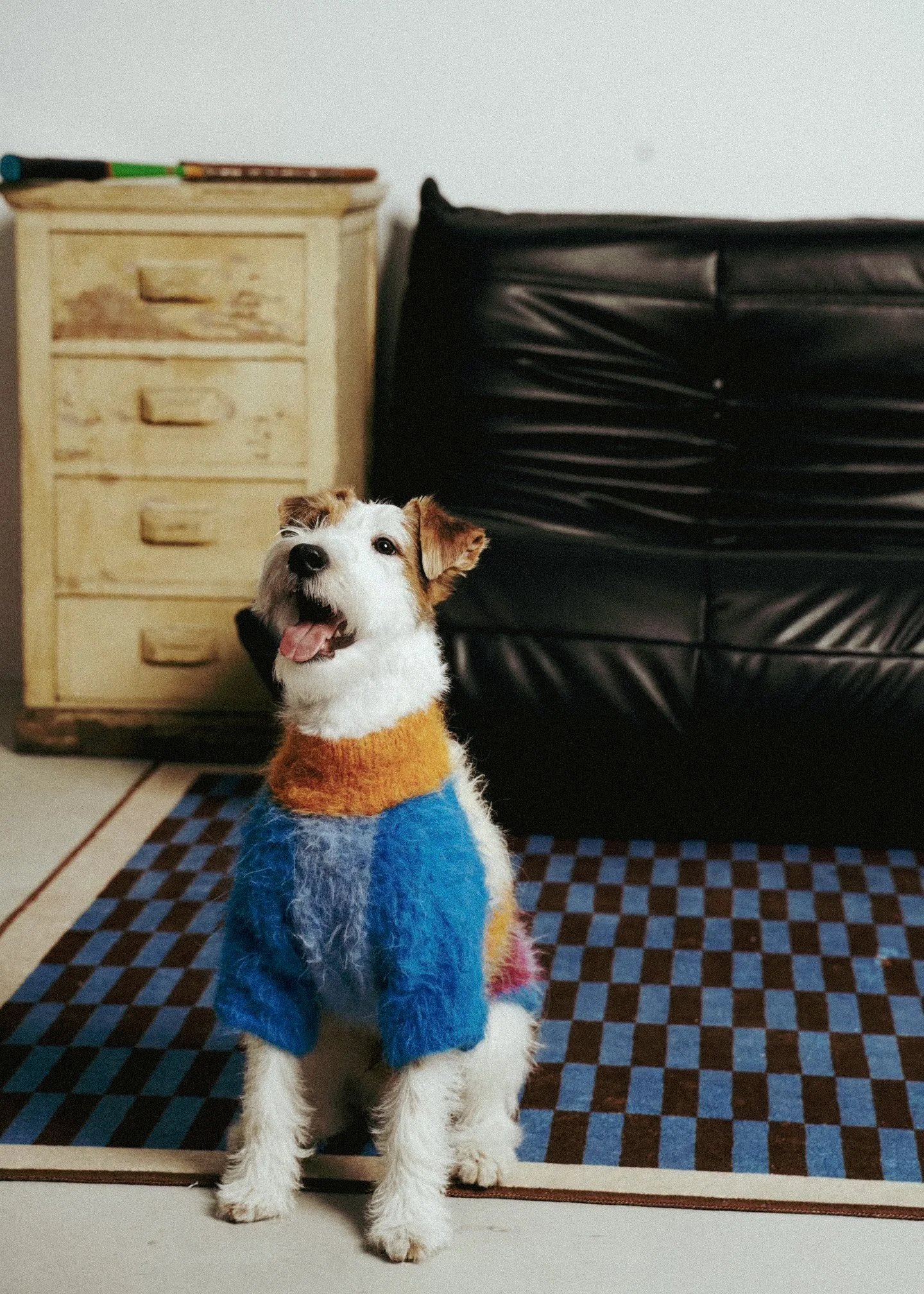 XXIXIN-PET-6.jpg