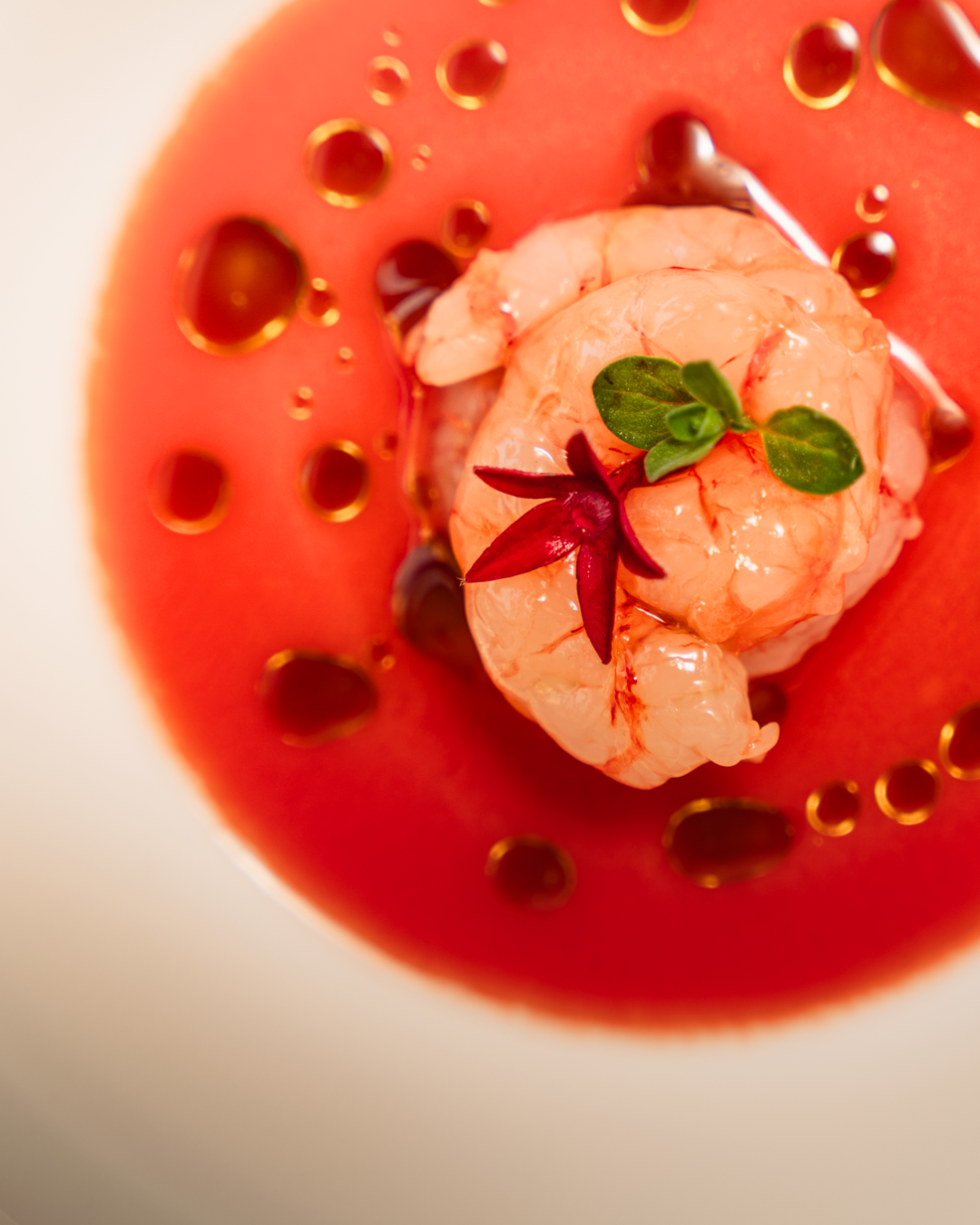 CASA LANZAFAME -  IL PRANZO DELLA BEFANA (14).png