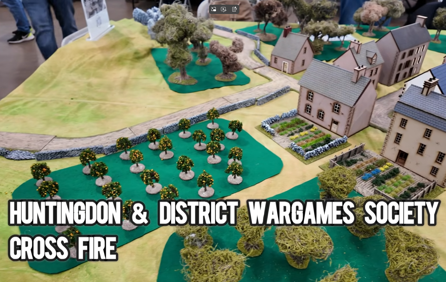 orange tree show.png