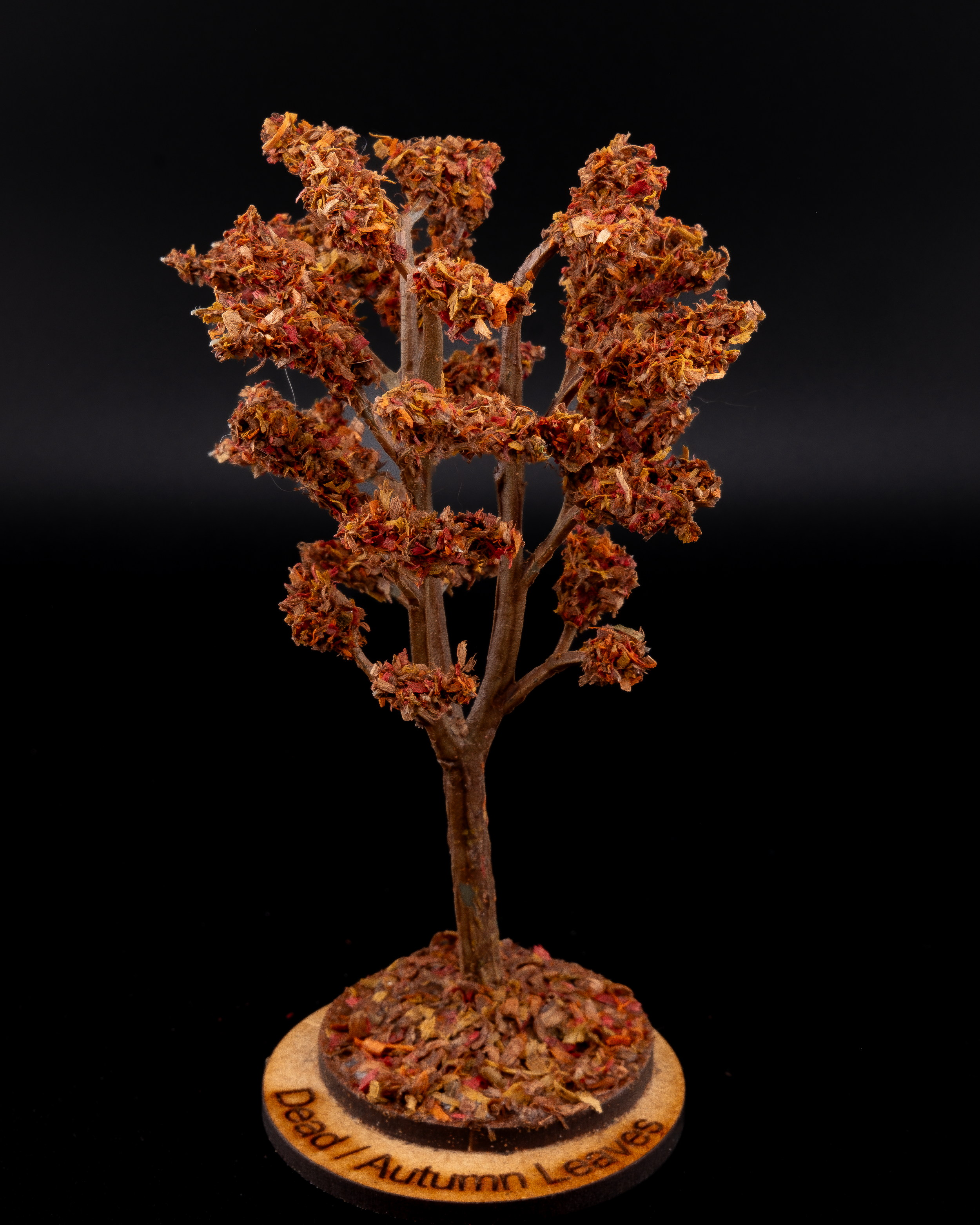 Dead / Autumn Leaves