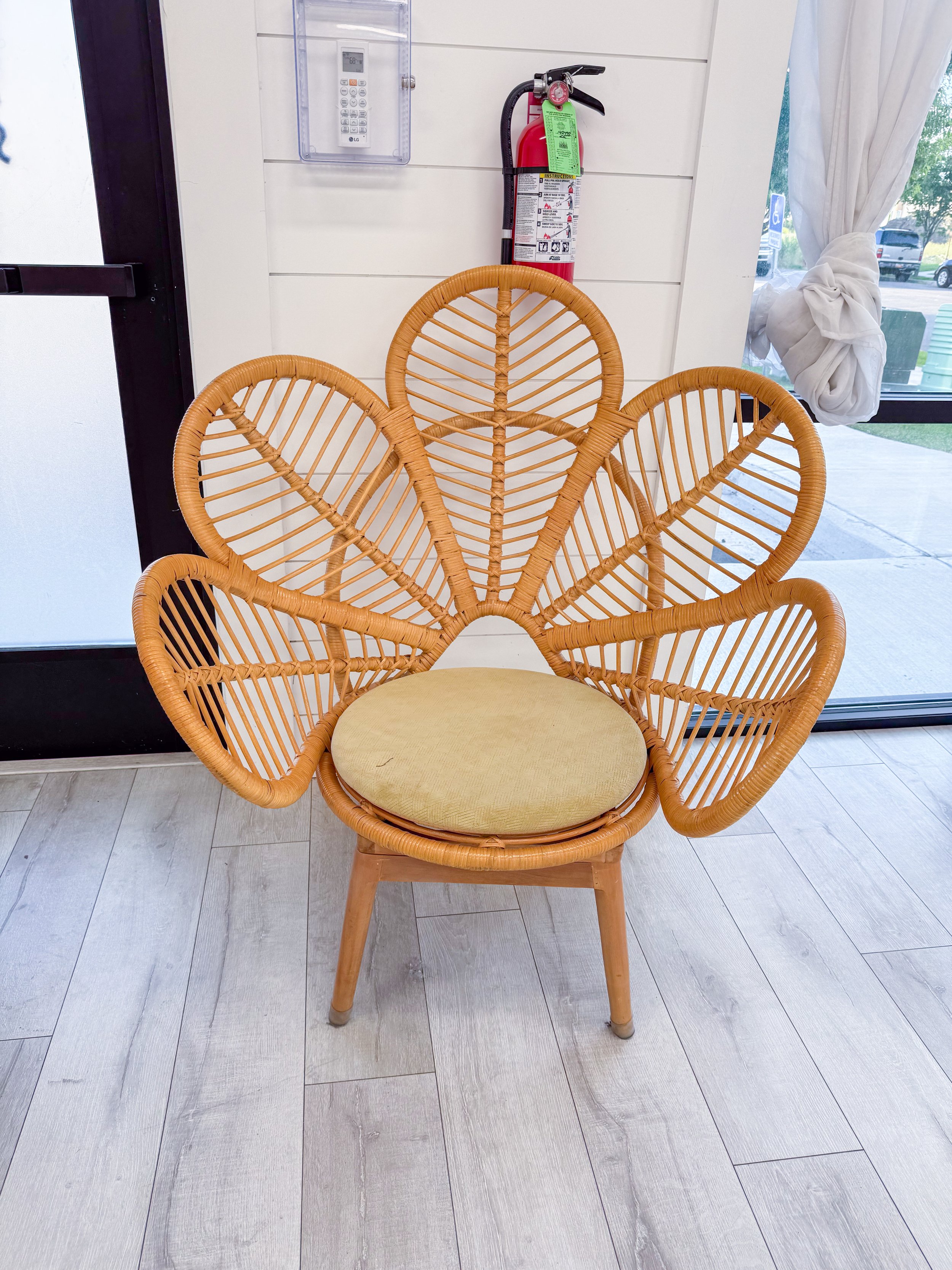Statement wicker peacock chair available for photography sessions, maternity portraits, boho branding shoots, family photography, senior sessions, and lifestyle content creation. This unique prop adds texture and visual interest to any session inside