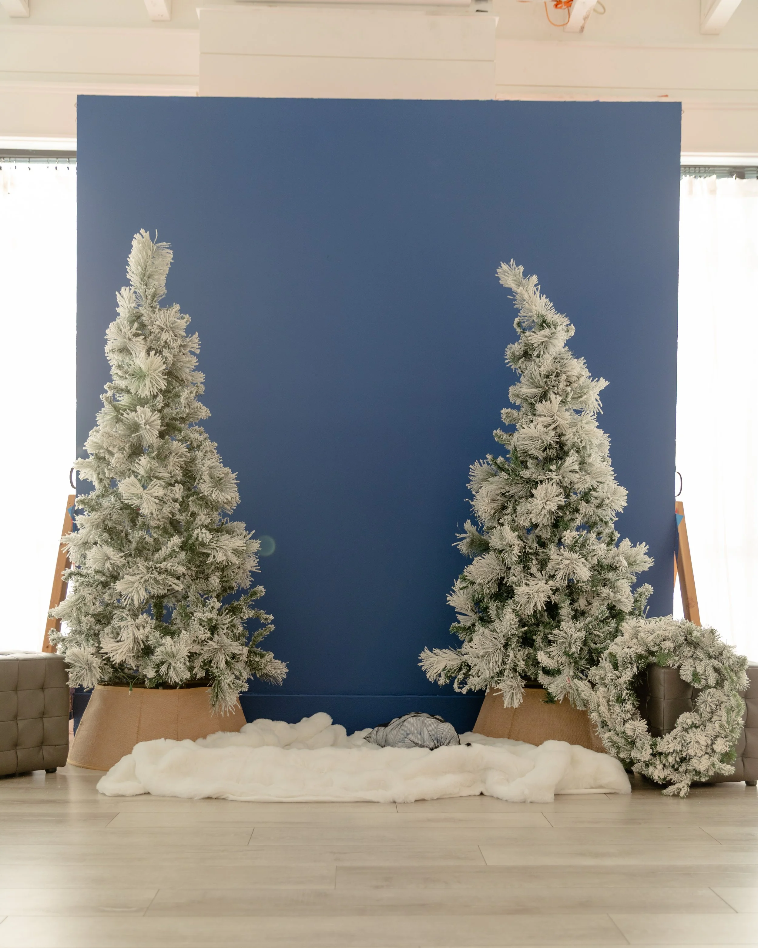 Studio B at Varsa Studios in American Fork, Utah, features a cozy Christmas backdrop designed for photographers, videographers, and content creators. This setup includes two flocked Christmas trees and a matching wreath placed against a bold navy blu