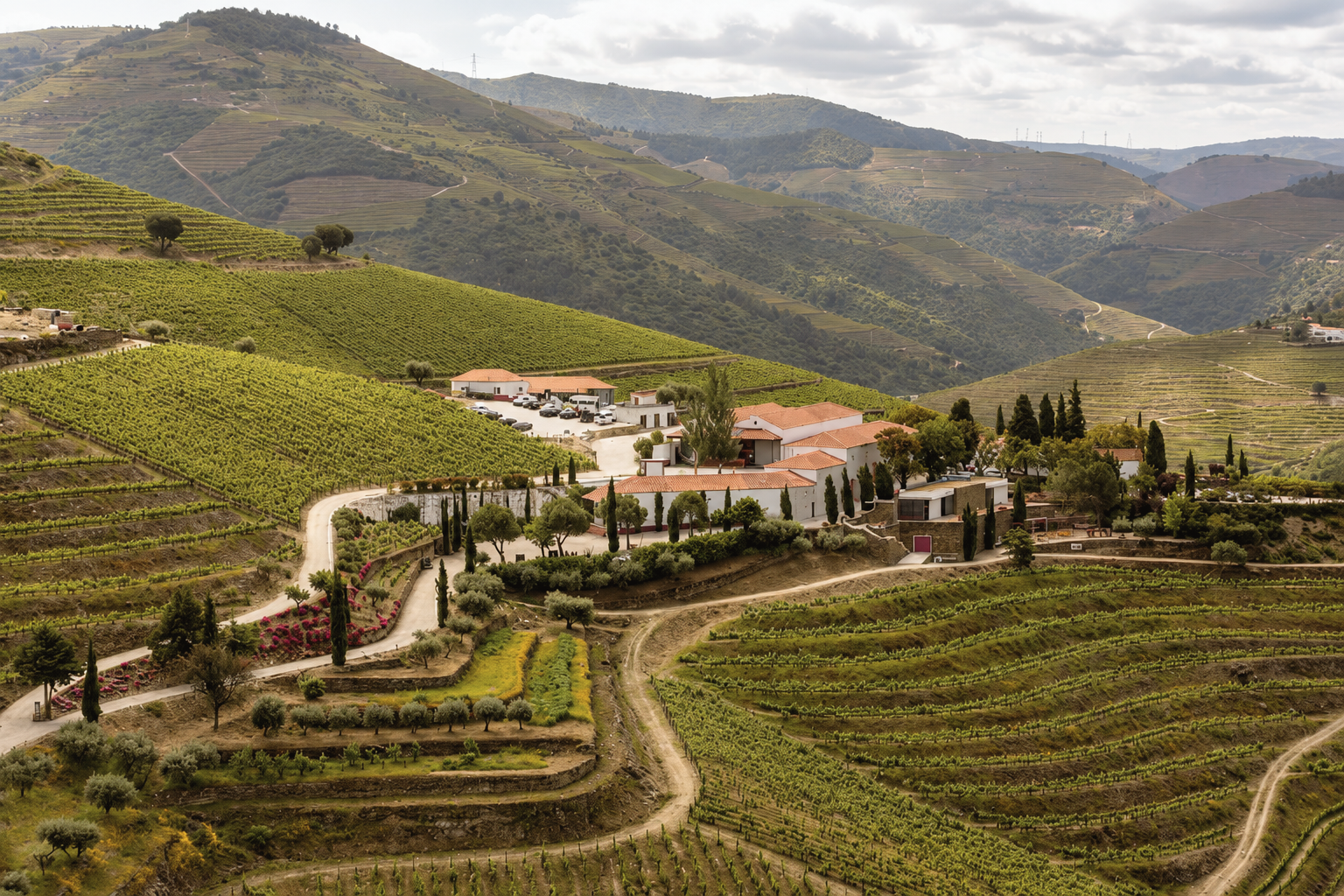 Terraced vineyards and a traditional wine estate in Portugal’s Douro Valley, surrounded by rolling hills in the renowned Douro wine region near Porto.