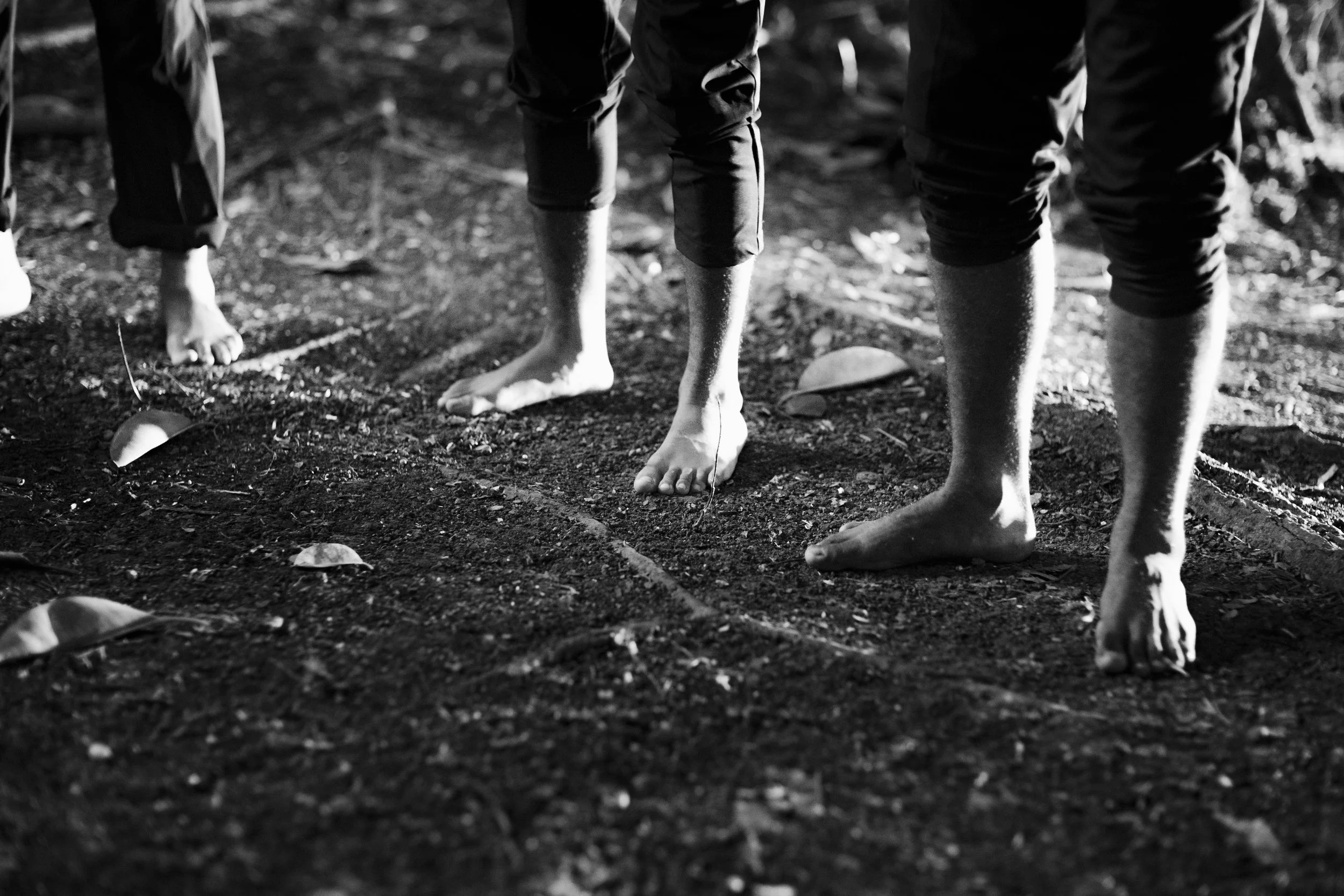 _R019734.jpg
