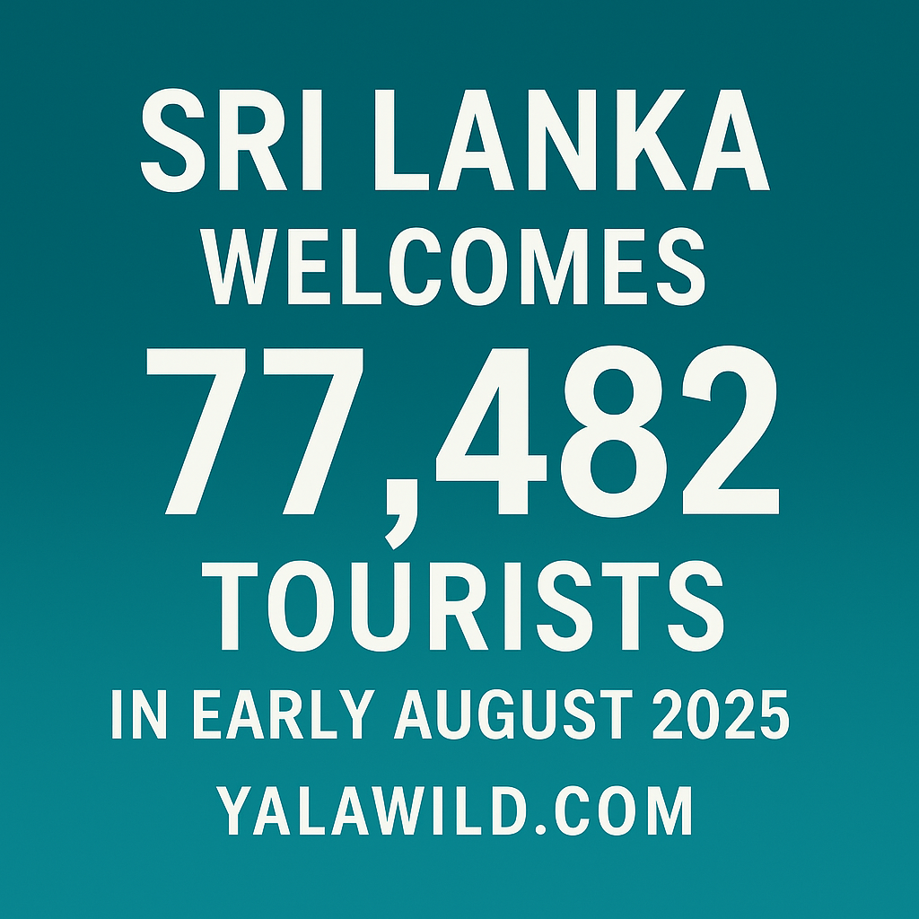📈 Sri Lanka Welcomes 77,482 Tourists in First 10 Days of August 2025