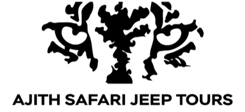Ajith Safari Jeep Tours