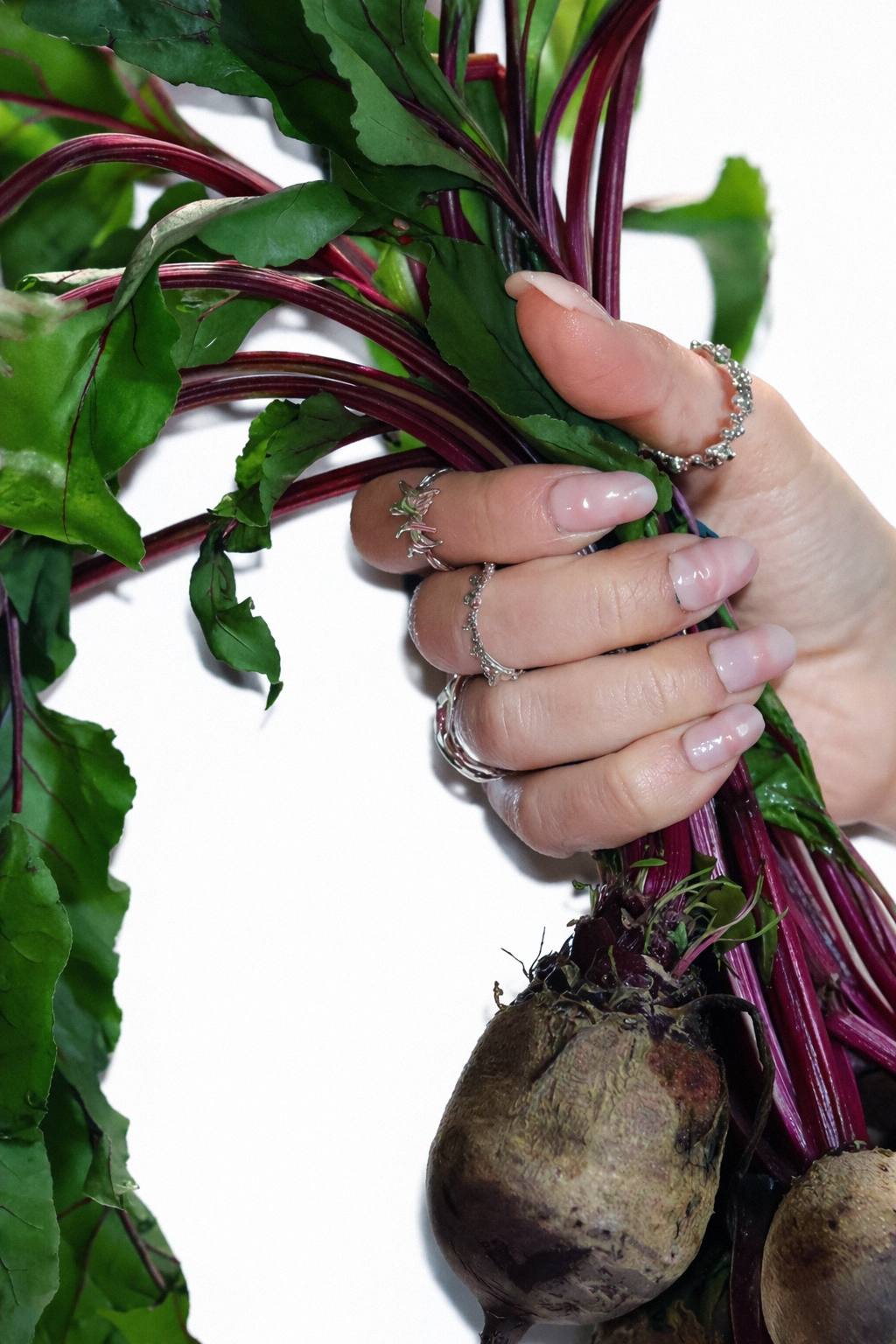 Handmade sterling silver rings by Etti Jewelry, worn in organic nature editorial New York