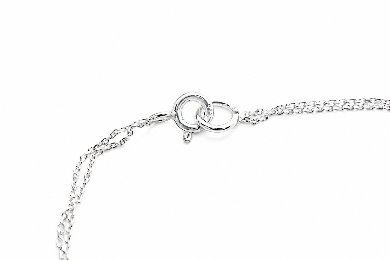 silver-chain-spring-ring-clasp-close-up.png