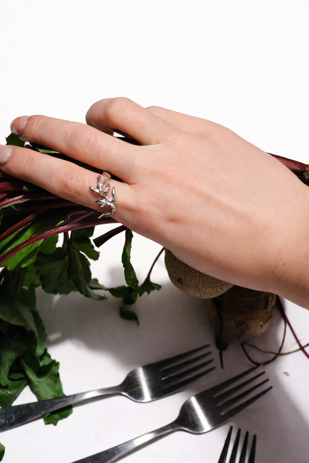 Reefbranch | Silver Ring