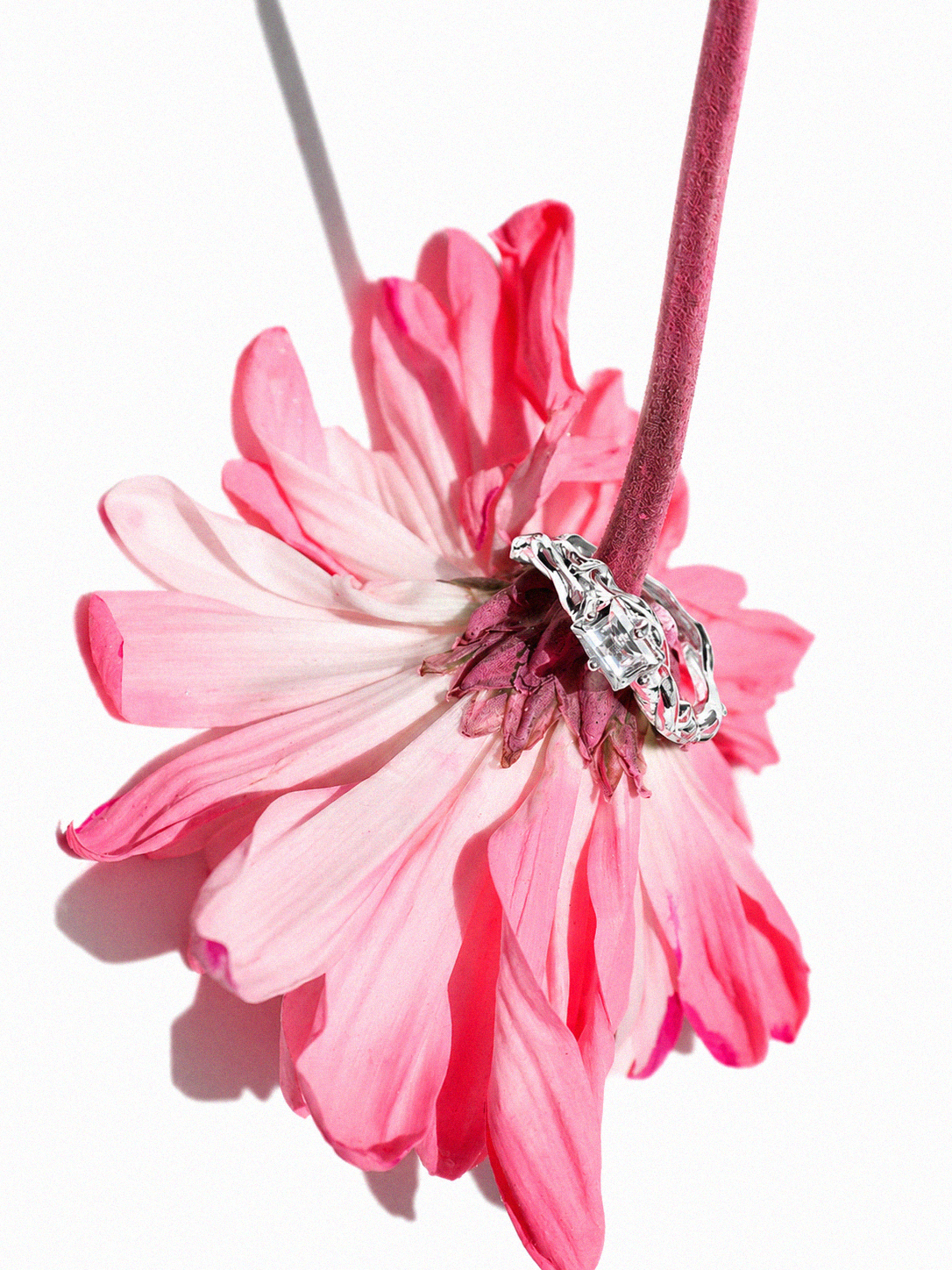 Axis | Size 8 1/2 | Silver Ring with White CZ