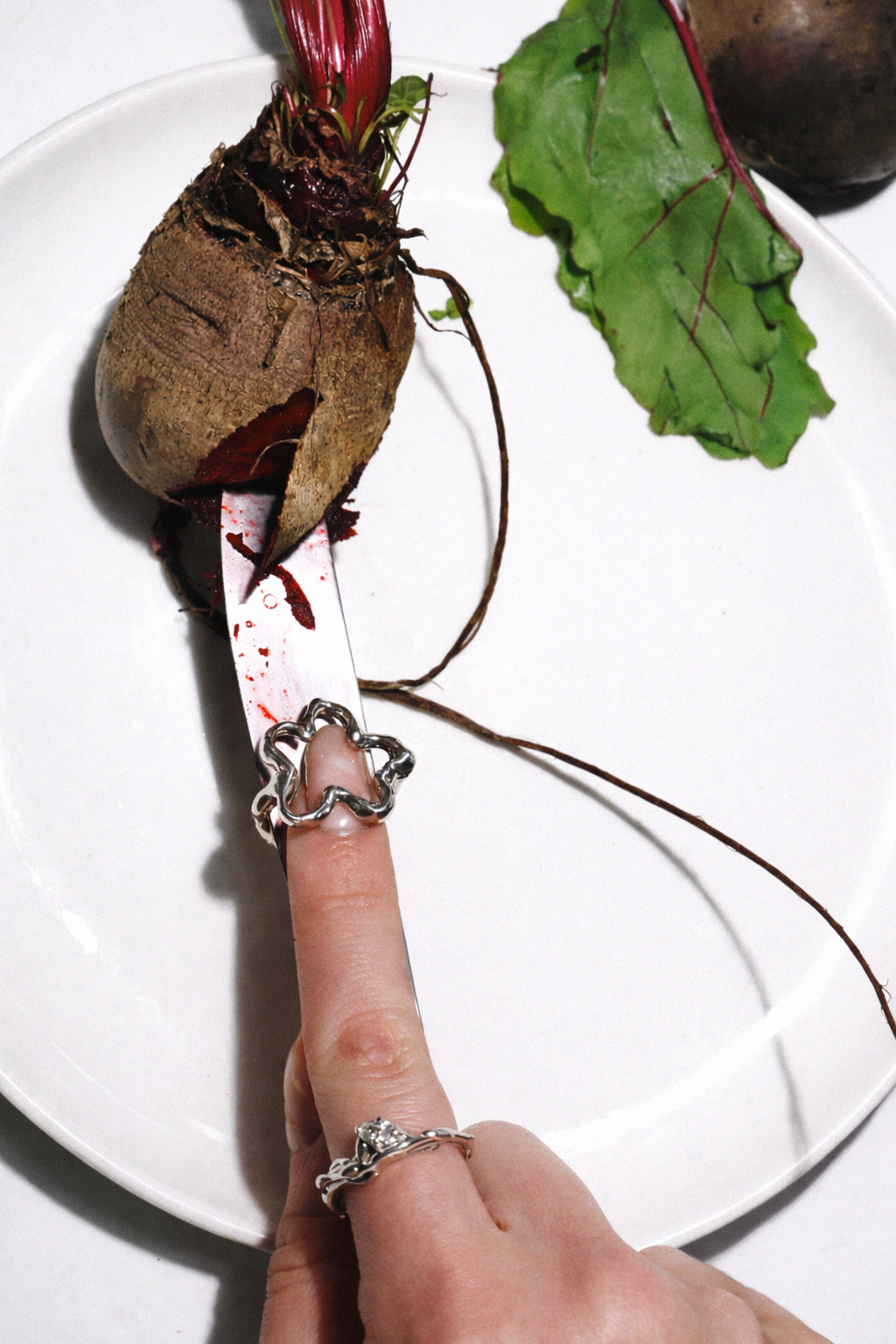 Sterling silver rings by Etti Jewelry worn in nature-inspired lifestyle editorial New York