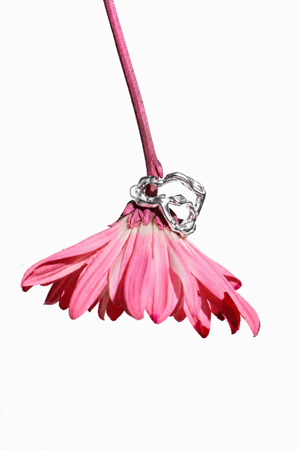 Carve | Silver Ring