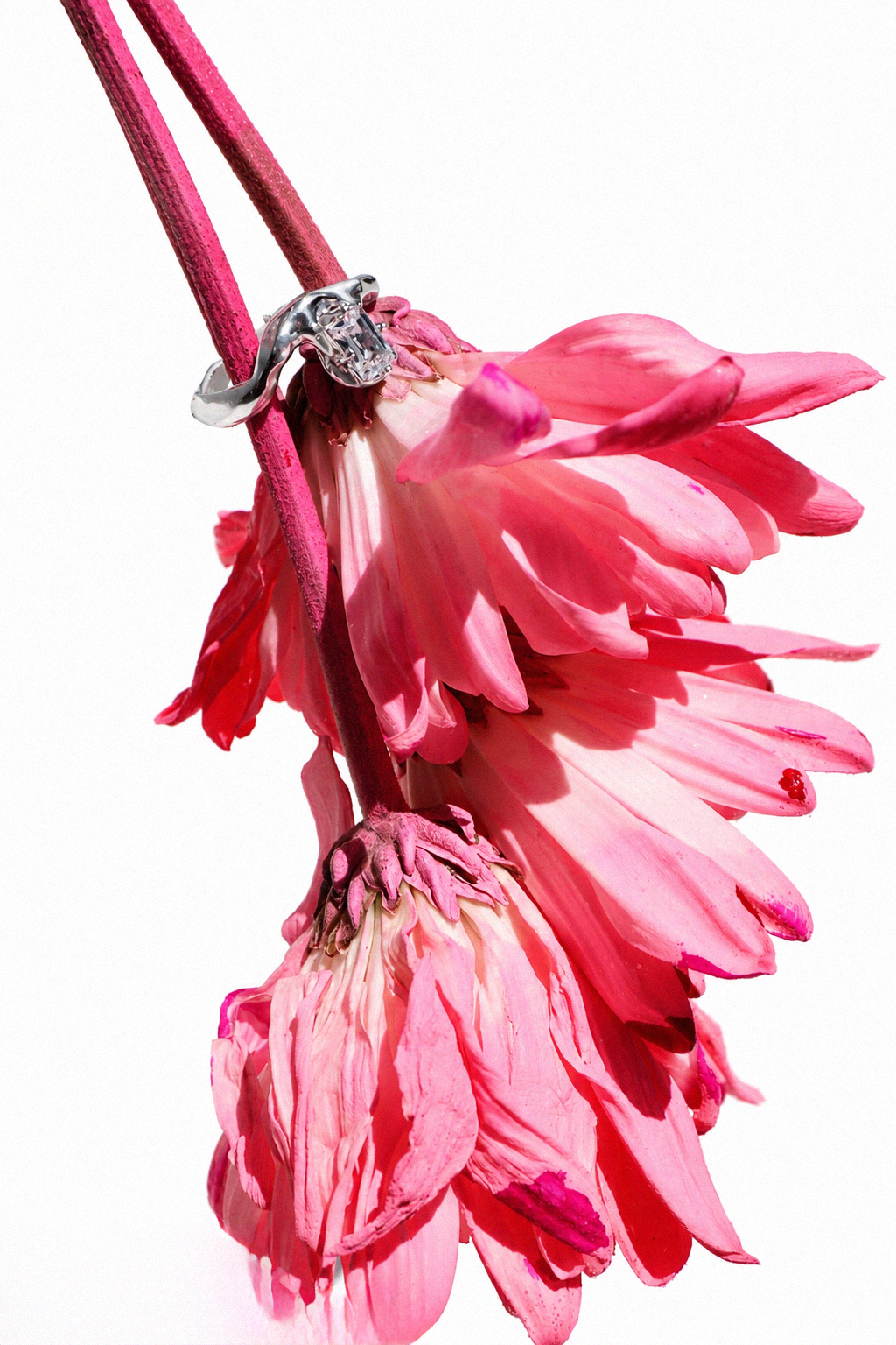 Stillwater | Size 7 1/2 | Silver Ring with White CZ