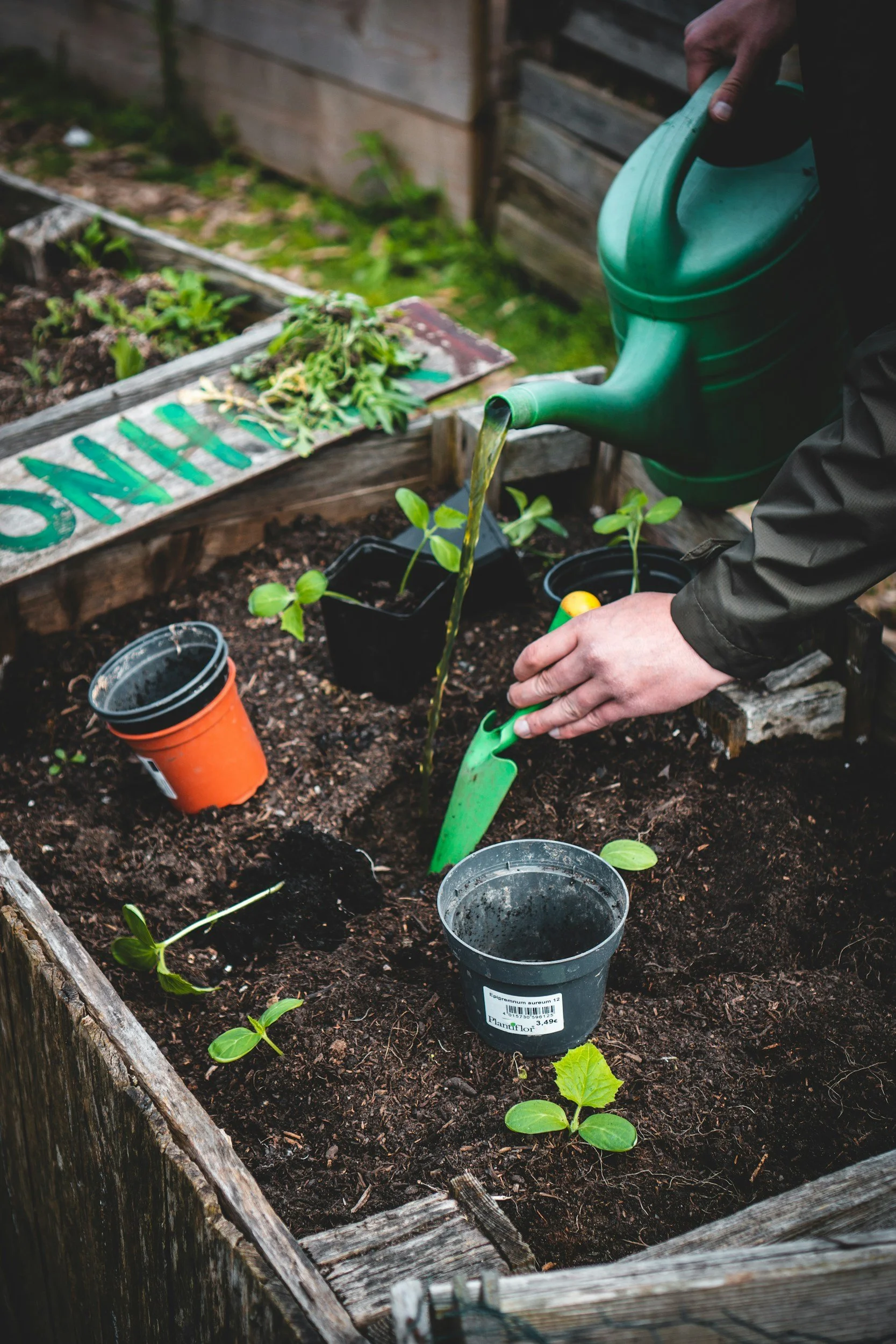 Summer Garden Heroes Wanted!