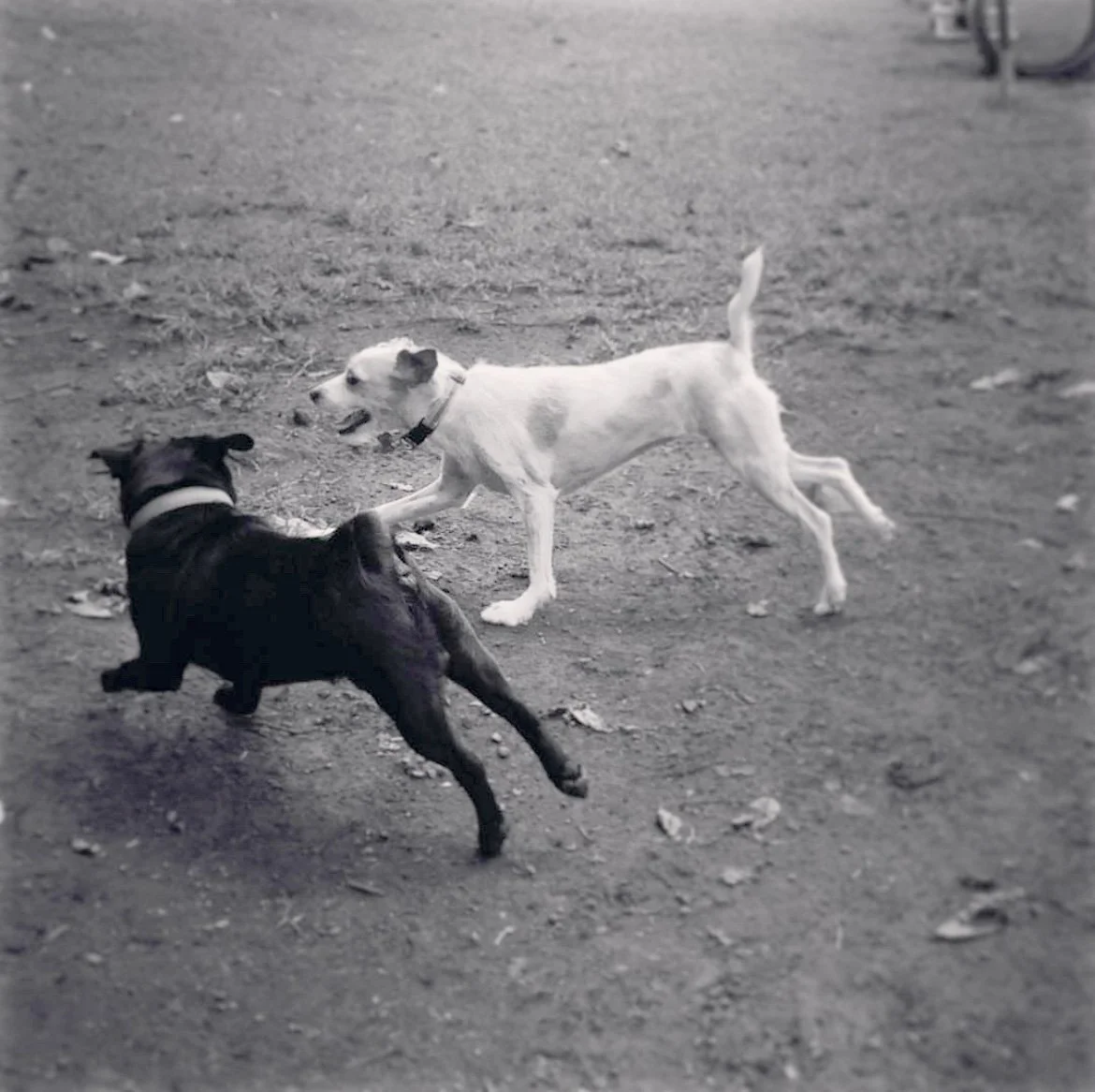 Screenshot 2024-05-24 at 9.35.21 PM.jpeg