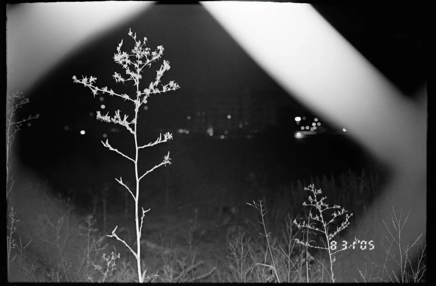 Some film work i have not posted yet :p