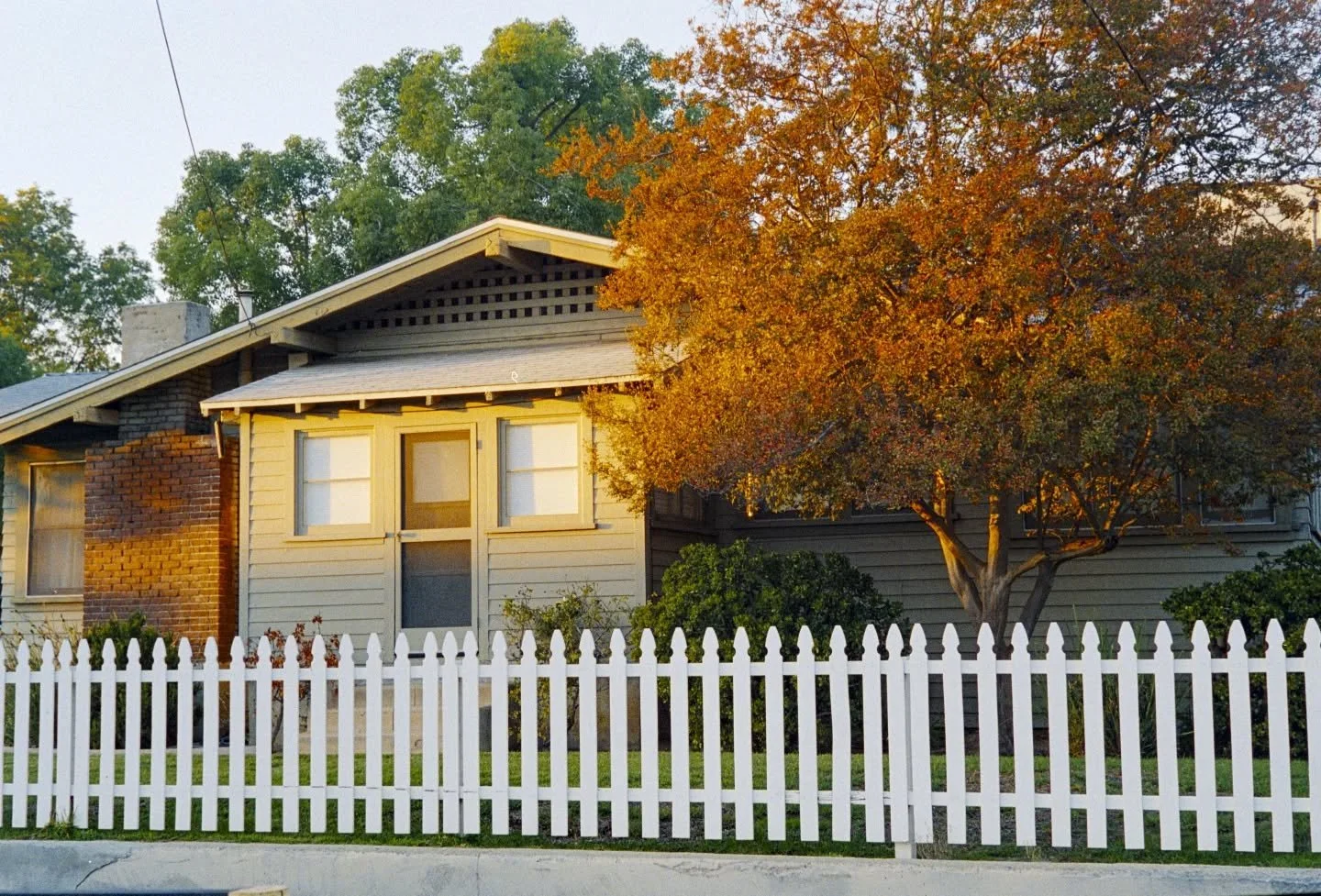 Some portra 800 off of the bessa r