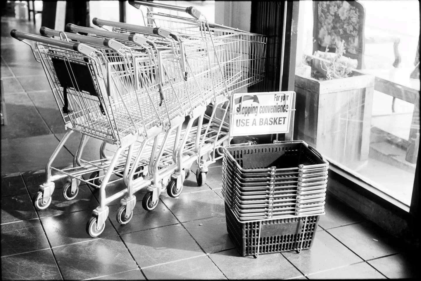 Slightly expired ortho 80 on the bessa r