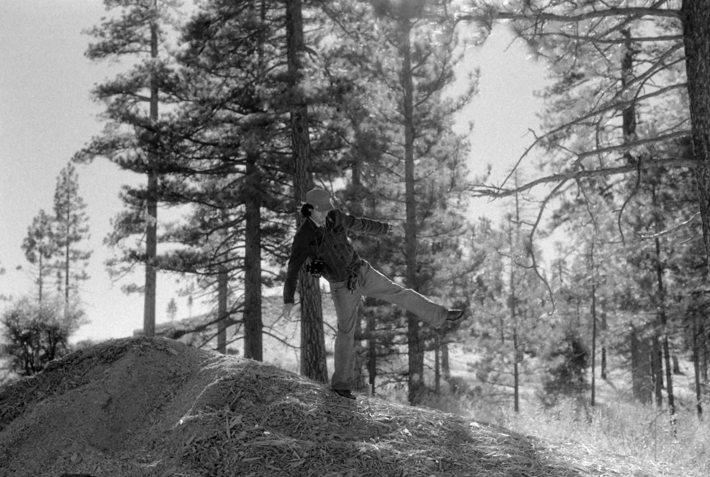 2/2 I love this film