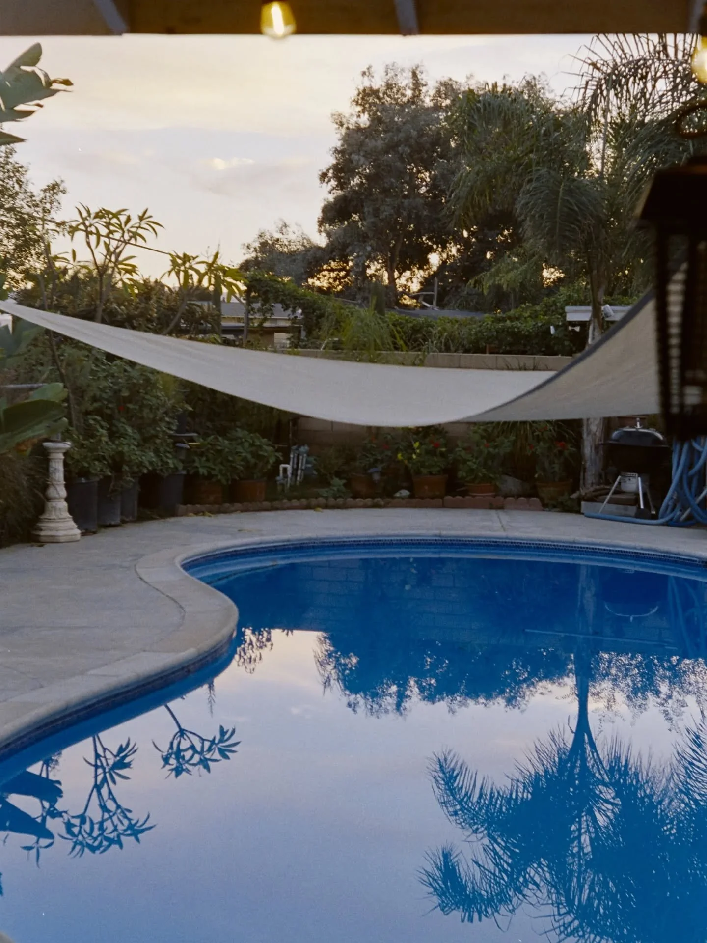 Portra 800 on the bessa r
I used the cannon 50 1.8 ltm
Scanned by me lol