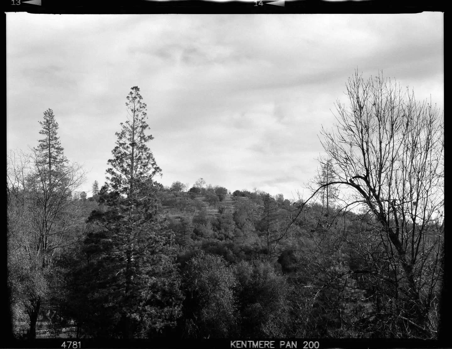 Kentmere 200 on the rb76