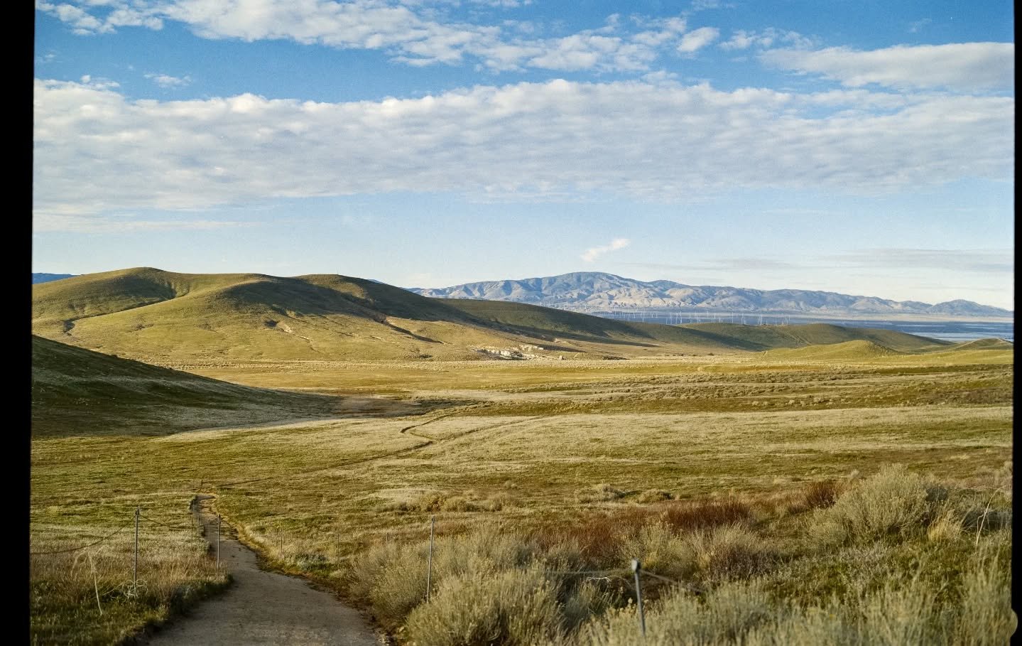 The high desert on gold 6x9