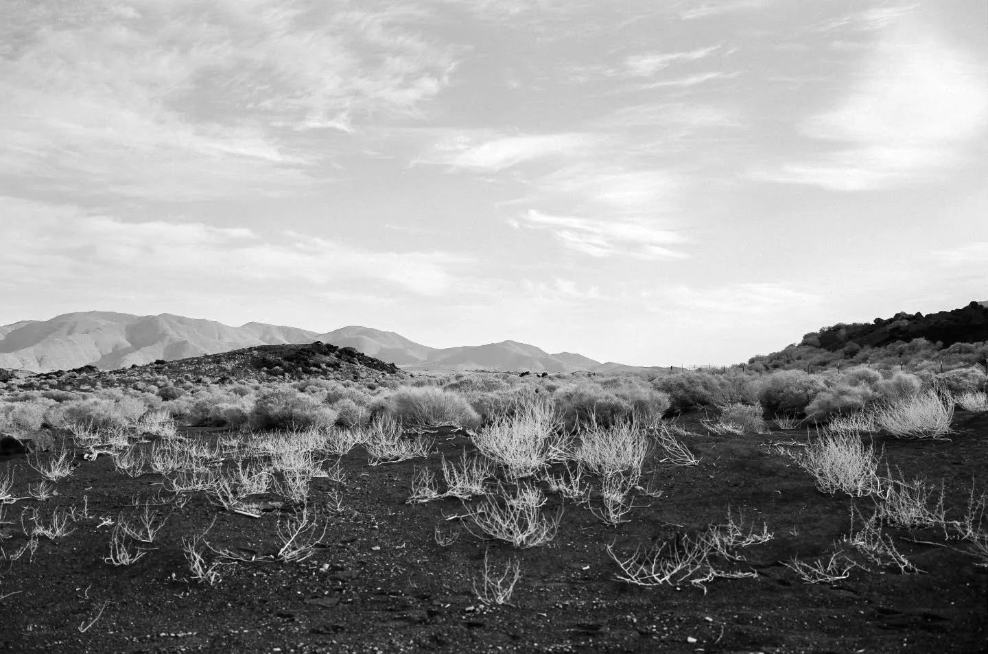 Mixture of formats and film
Some 6x9 and 6x6 400tx and some 6x7 kentmere 200