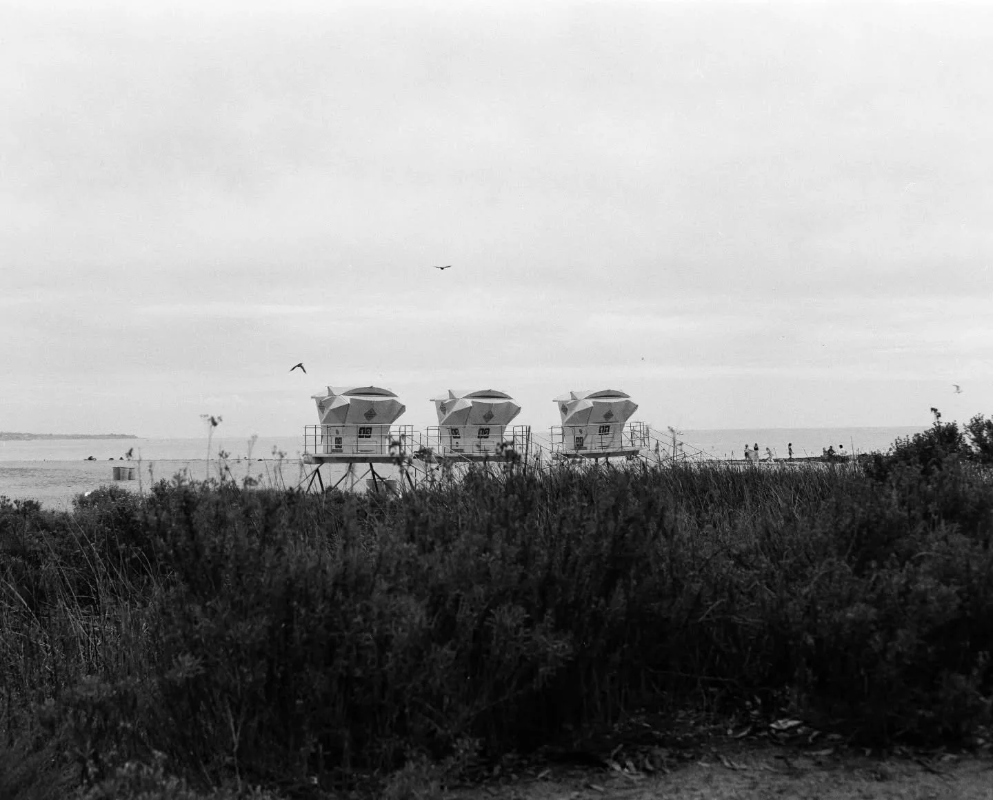 Super expired roll of 400tx shot at 100
Shot these on the rb67 :p