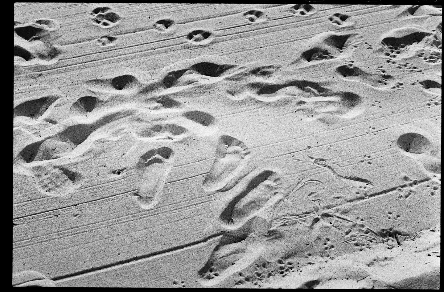 Kentmere 100 and some hp5 pushed to 1600 
The backlog grows 💔