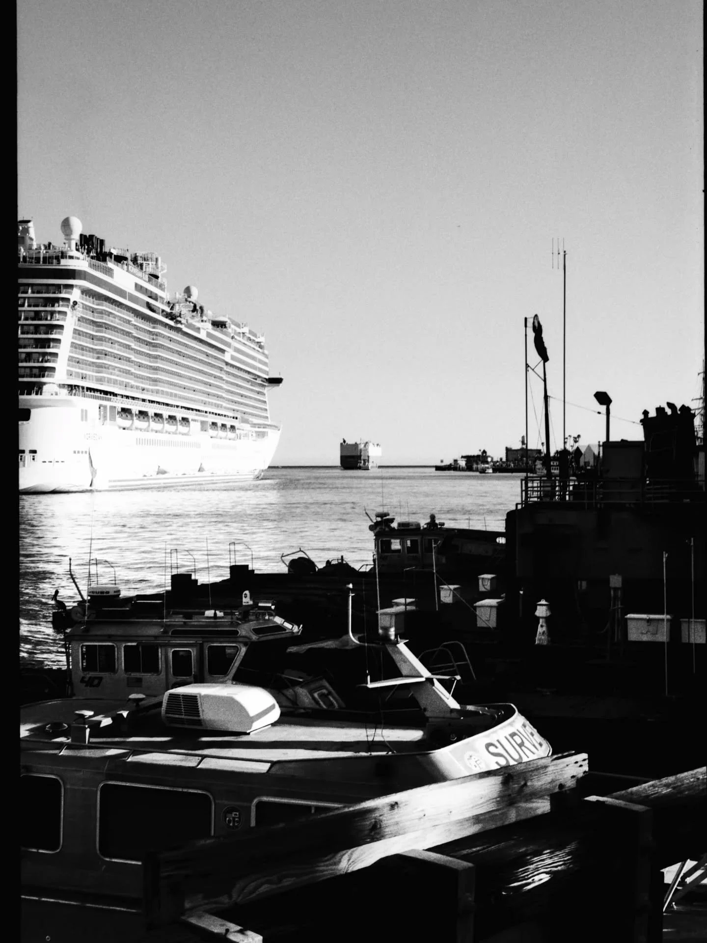 Ilford panF 50 in long beach