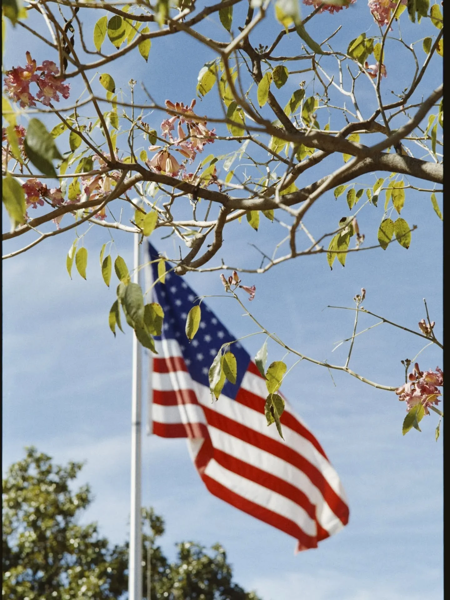 Pro image 100 - nikon f2 
Big fan of the broimage everyone go shoot a roll 
@kodak