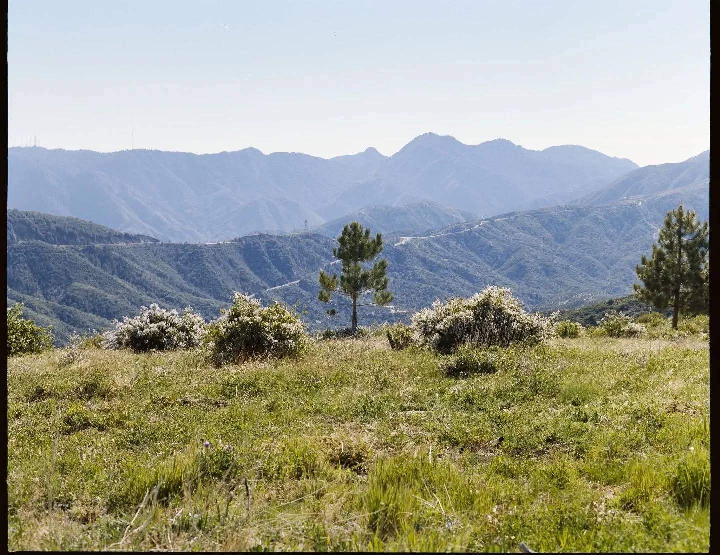 Portra 160 - Pentax 67 with the 105 2.4
First roll i shot with this camera that ive seen, I love this thing already