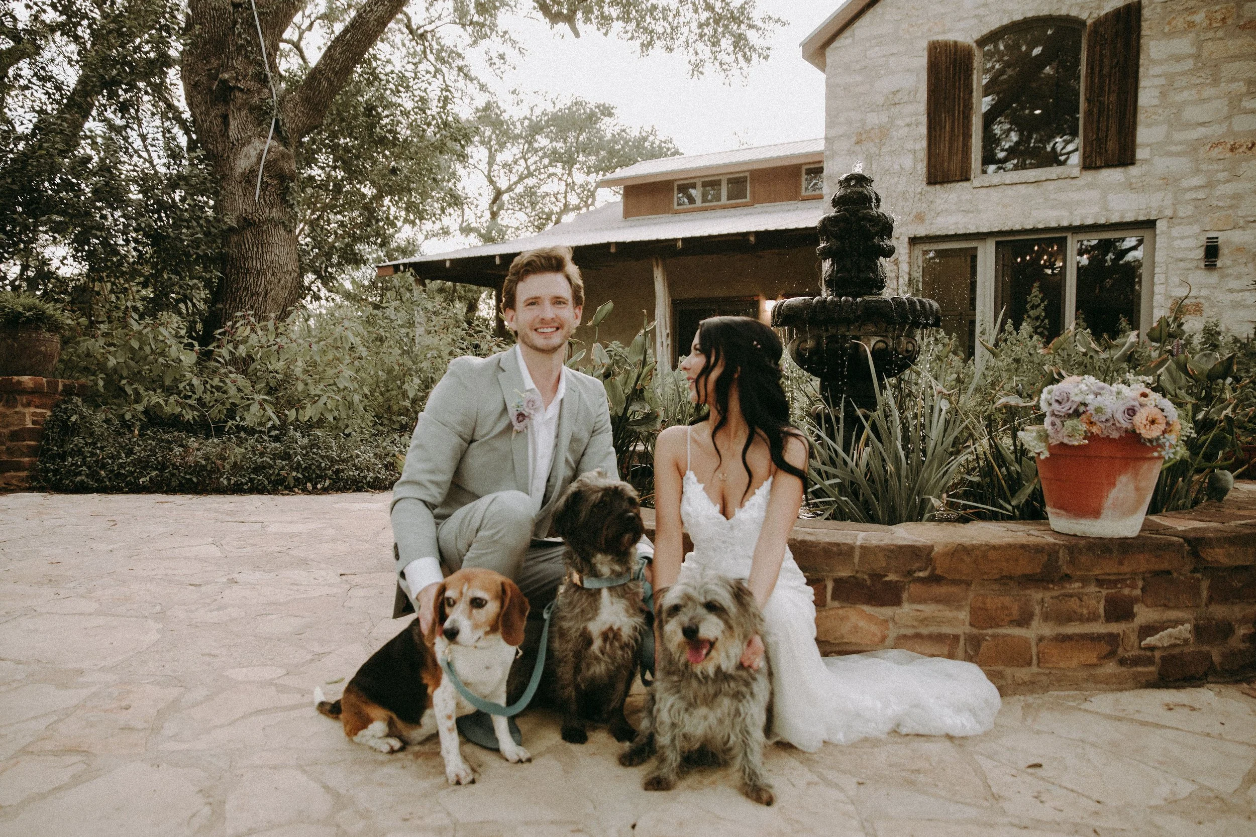 Dogs of Hudson Bend Ranch