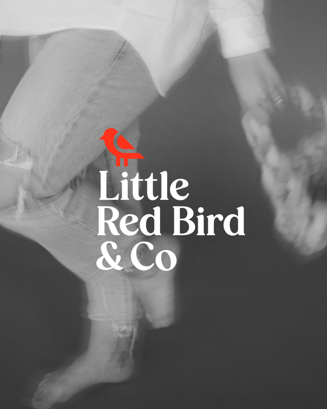 Little Red Bird &amp; Co | Brand + Web