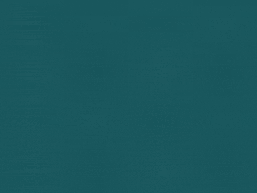 Blue Floral Business Presentation (43) (2).gif