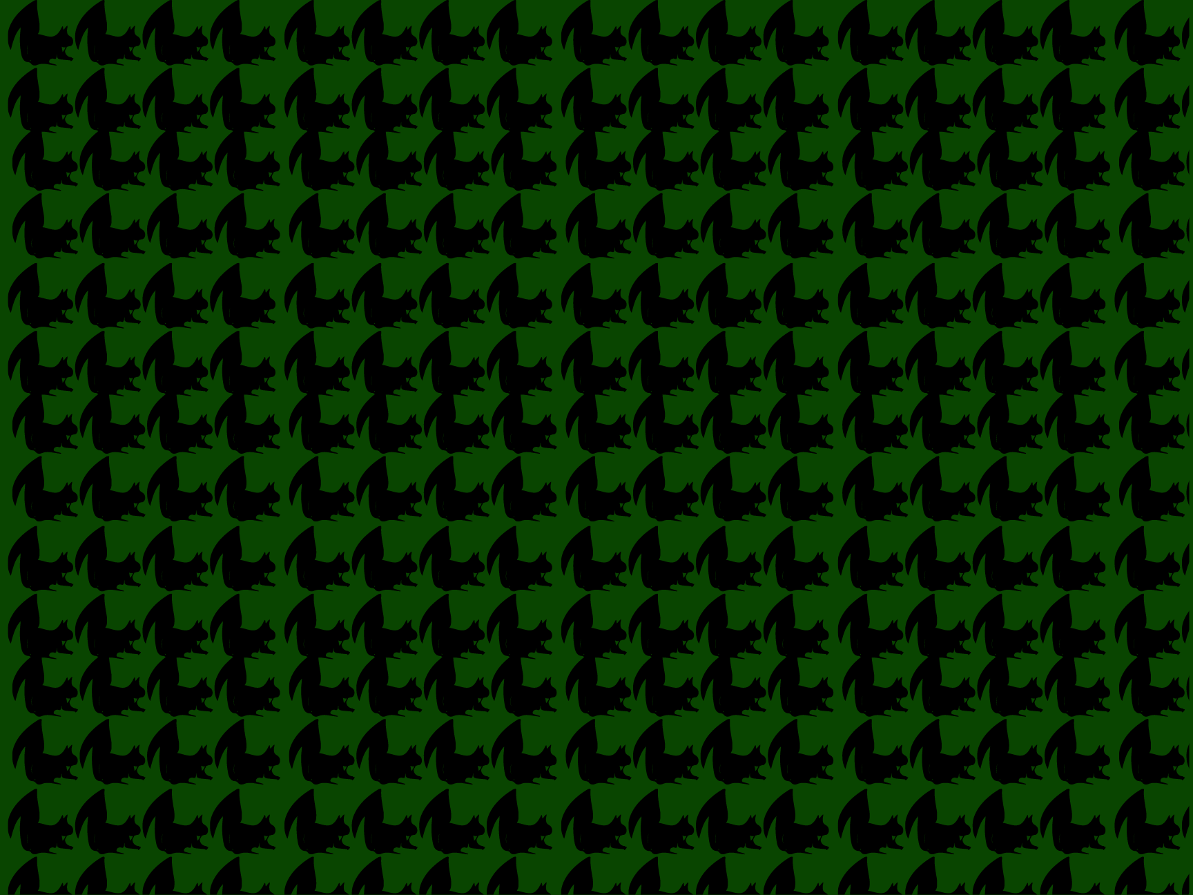 IMG_3821.png