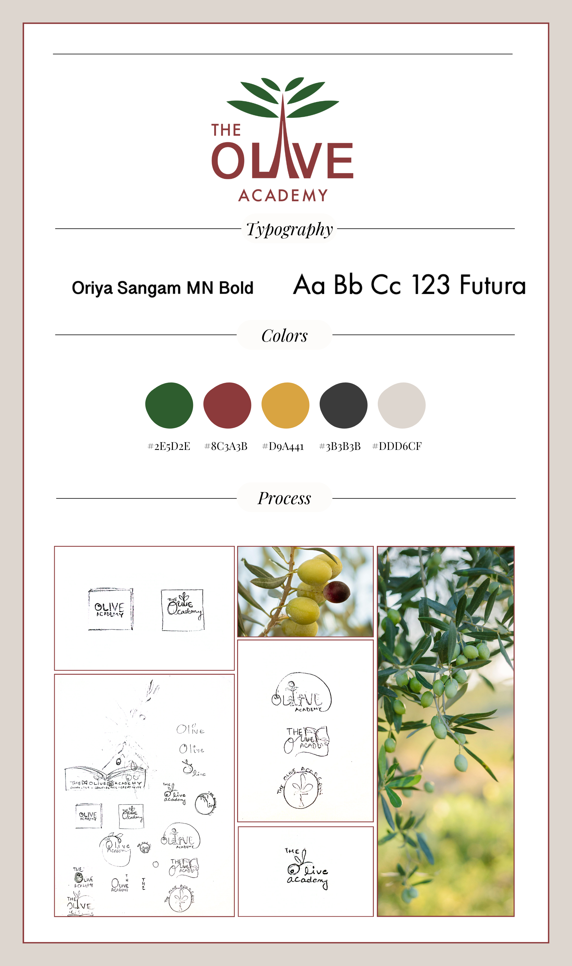 Educational Brand Identity-Olive Academy