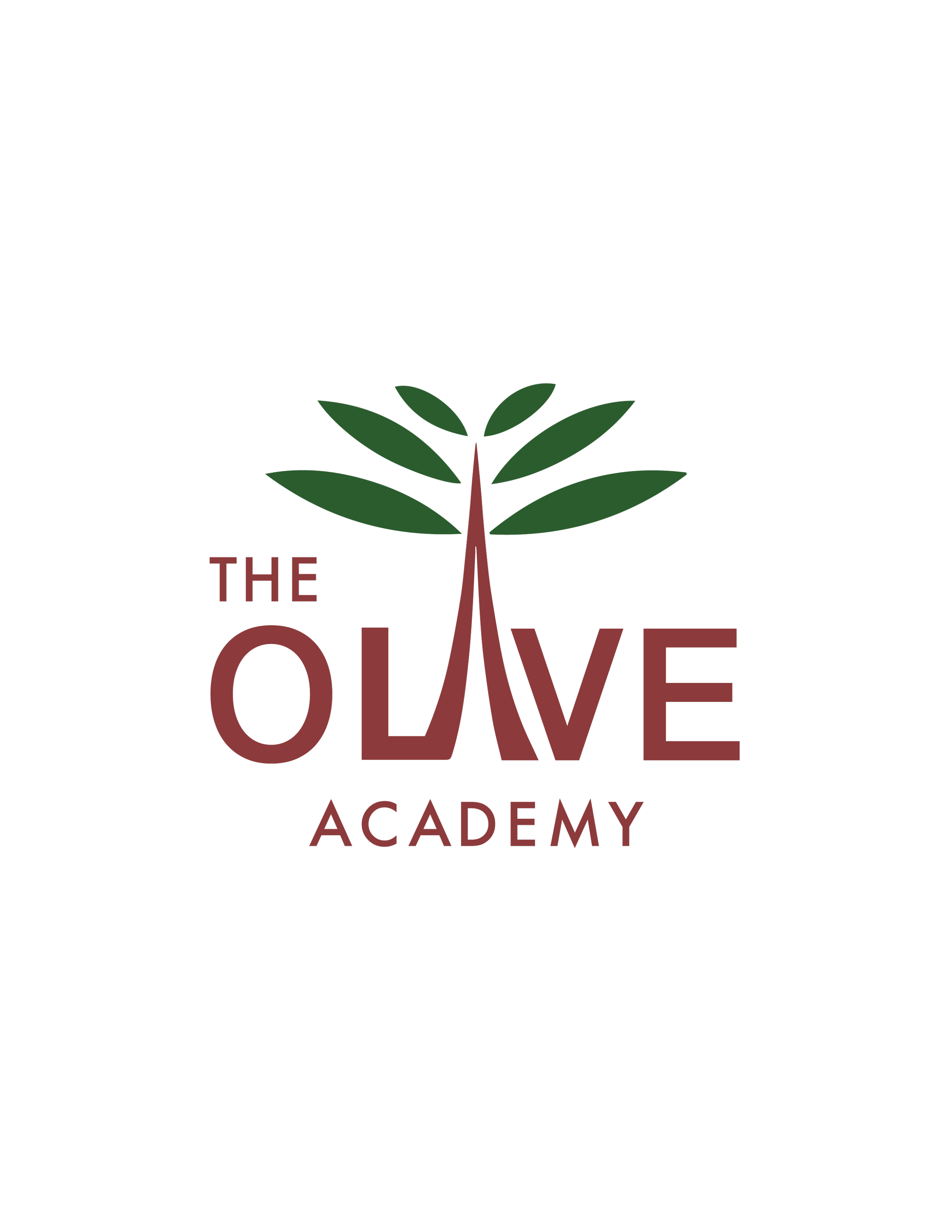 Olive Academy – Educational Design & Branding