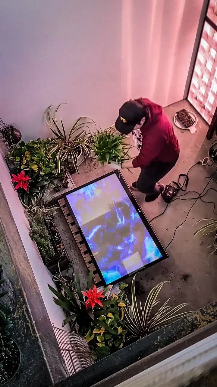 TV+Garden+-+Data+Wretch+NER+d+CC.webp