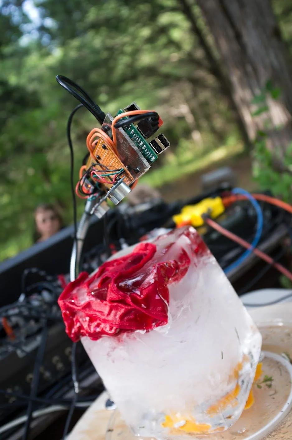 Electronics setup outdoors with a raspberry pi, wires, and components near a large ice cube with a red cloth on top, in a natural setting.