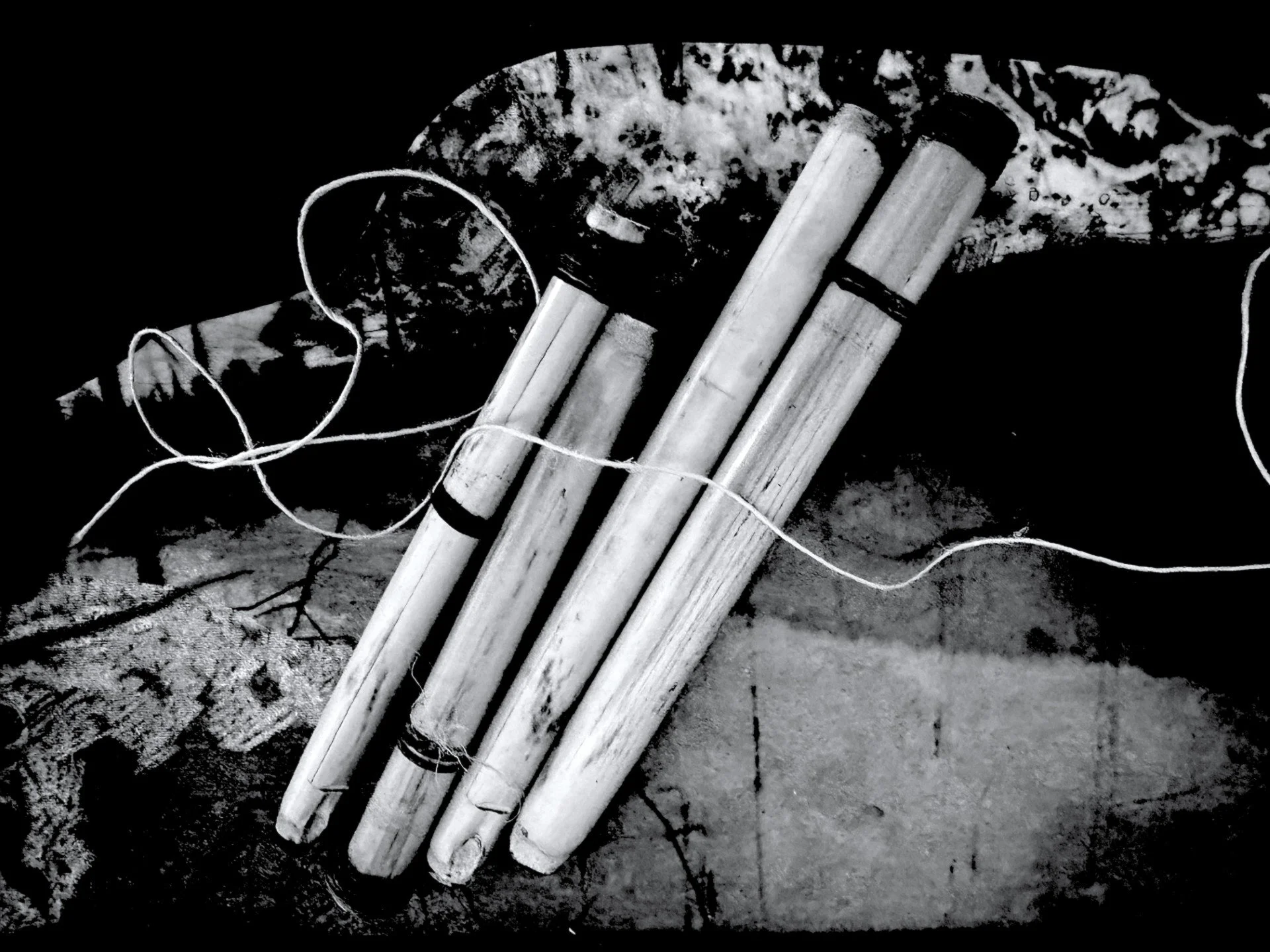 Four bamboo sticks tied with black bands, lying on a surface with leaves and twigs around.