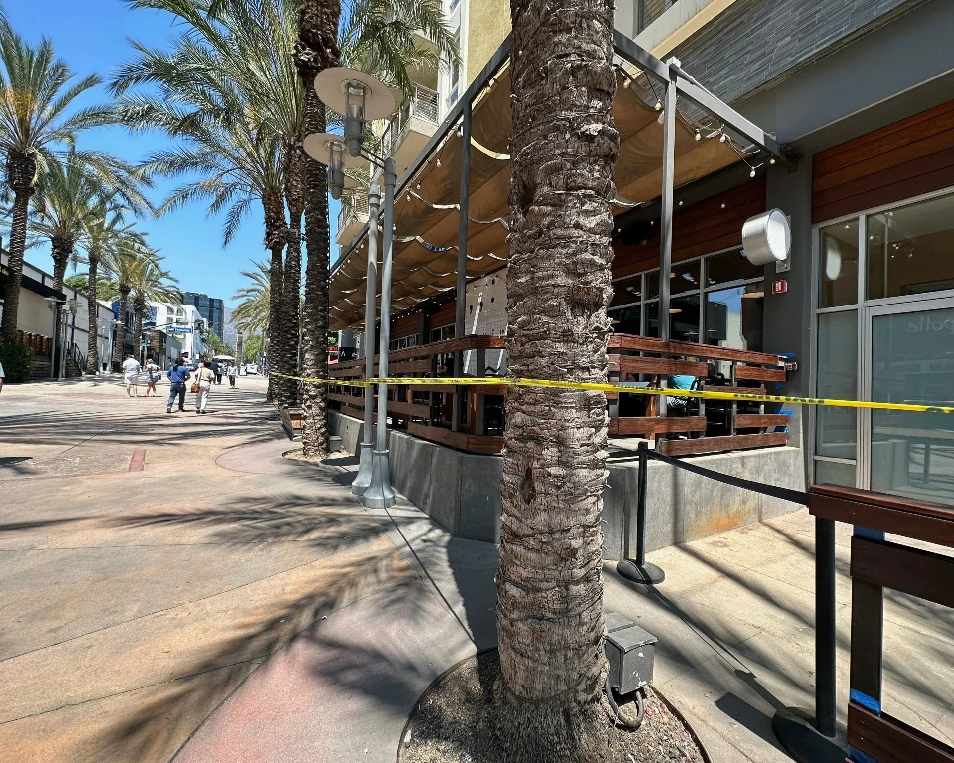 A street scene with palm trees lining the sidewalk and people walking. There are modern buildings, and a section of the building has a wooden exterior. Tree trunks are secured with yellow caution tape. There are lampposts and string lights hanging ab