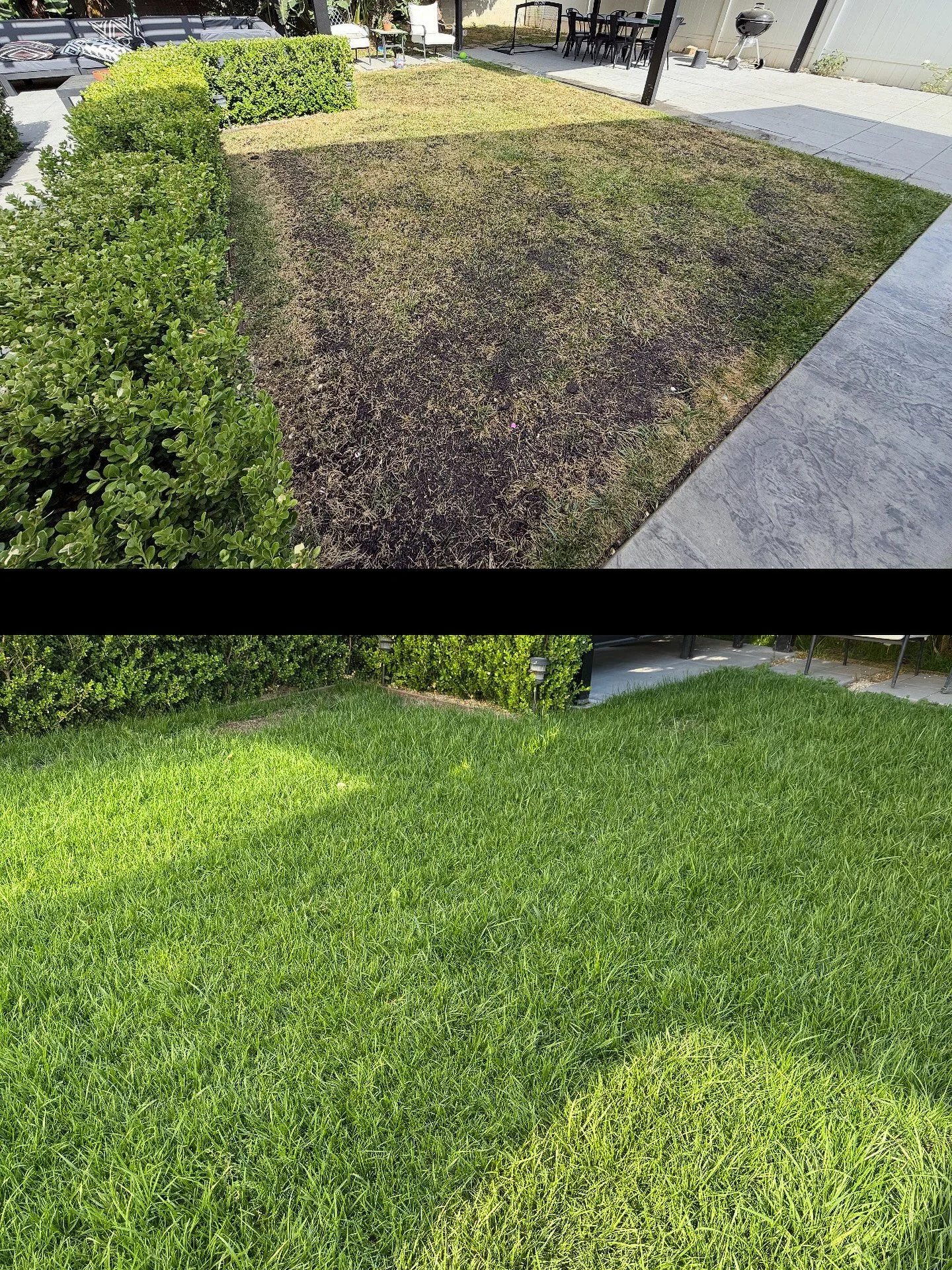 Before &amp; After &ndash; Lawn Transformation 🌱✨

From dry and patchy to lush and green!
We aerated, added topsoil, applied high-quality seeds, and followed up with proper watering and care.

✅ Grass restoration
✅ Professional finish
✅ Results you 