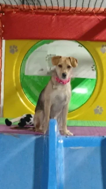 Play Zone