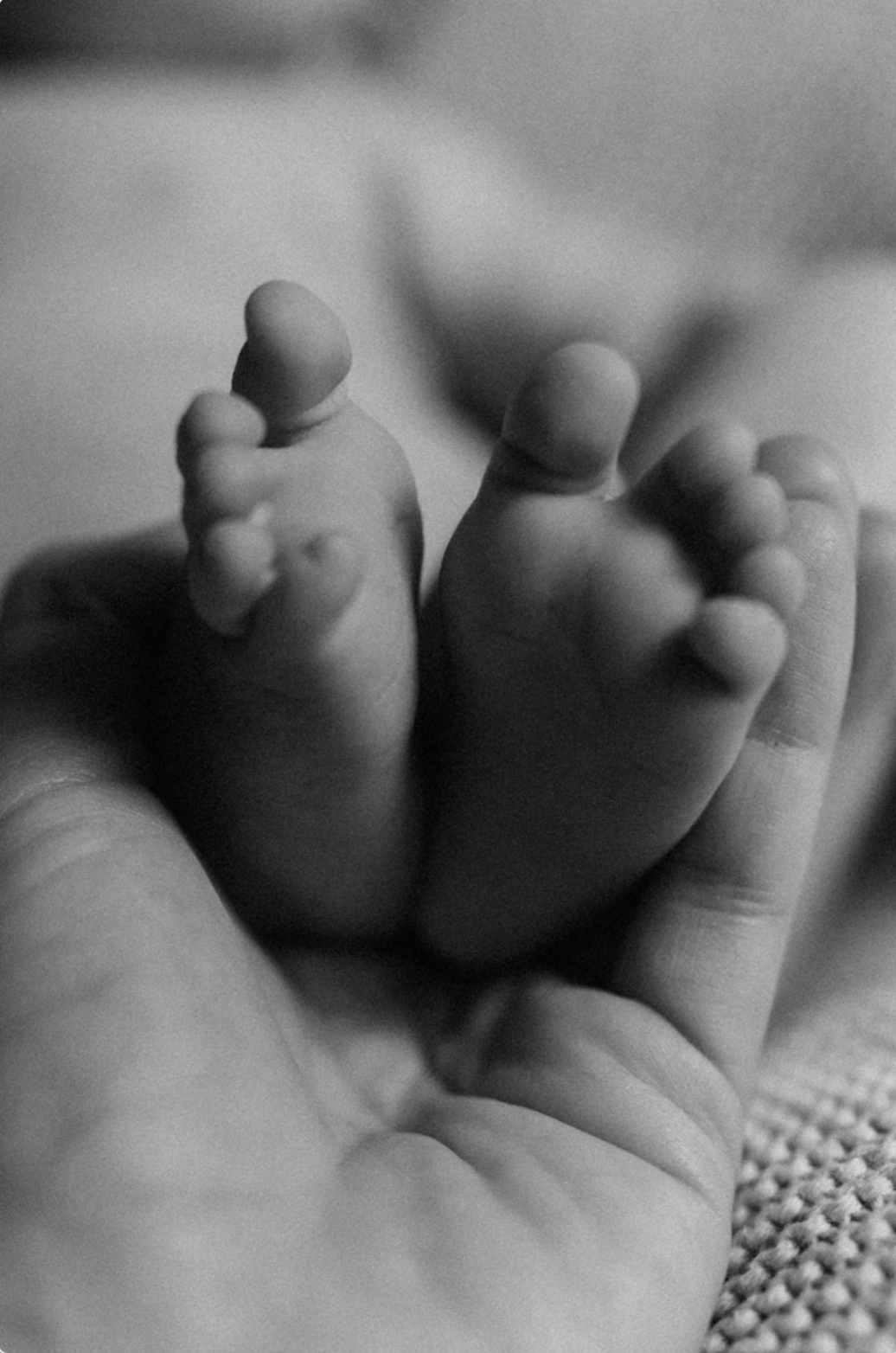 Black and white close-up of a newborn baby feet resting gently in a parent's hand