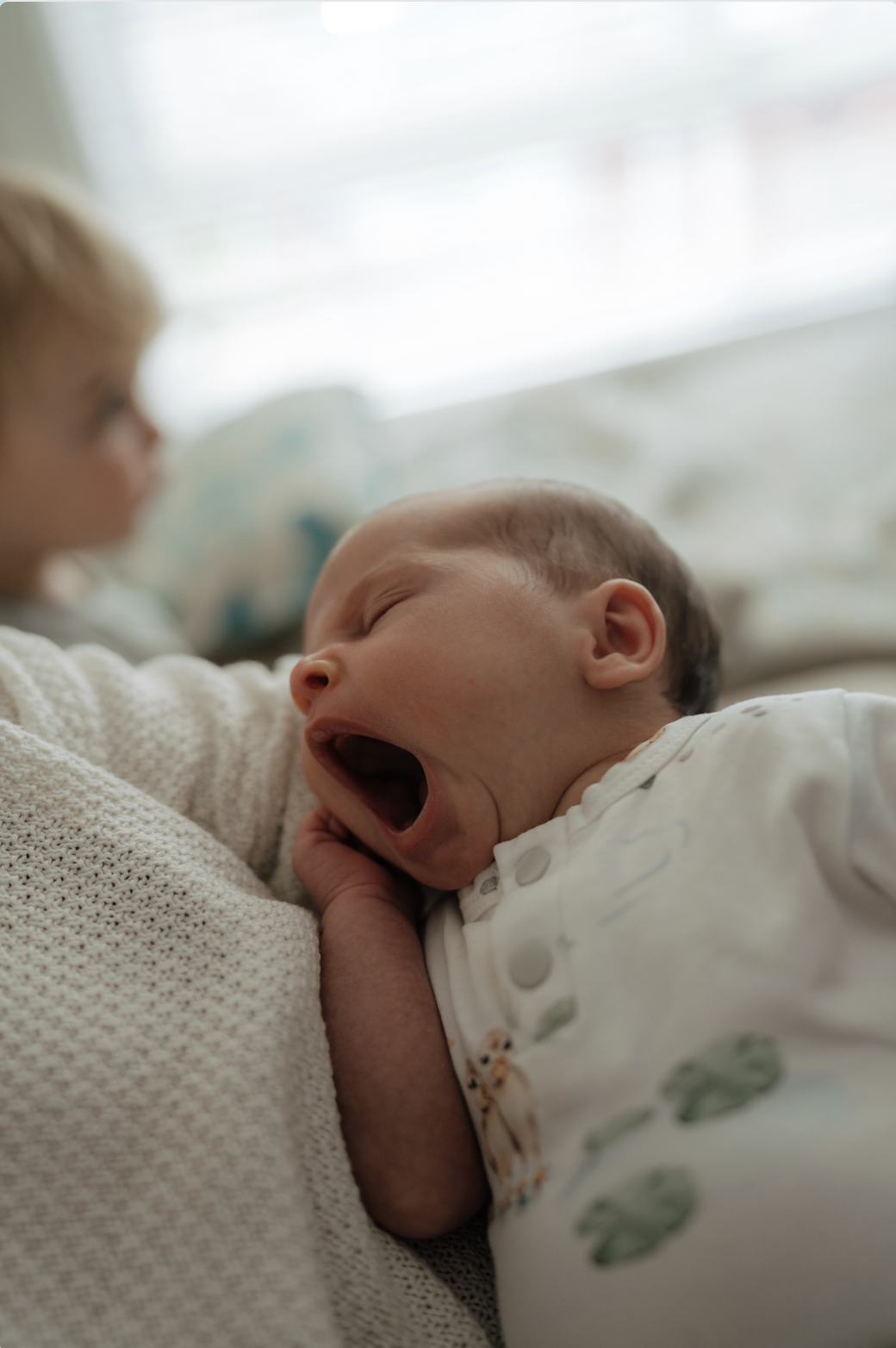 Screenshot 2026-01-22 at 9.48.17 am.png