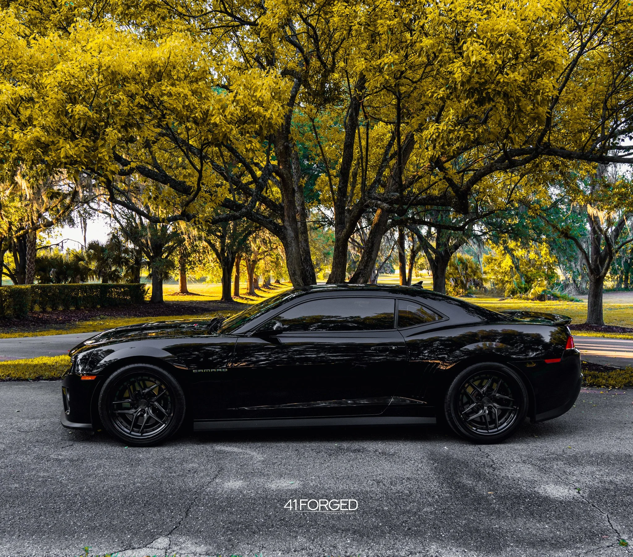 Zacks Camaro Zl1 - 8.jpg