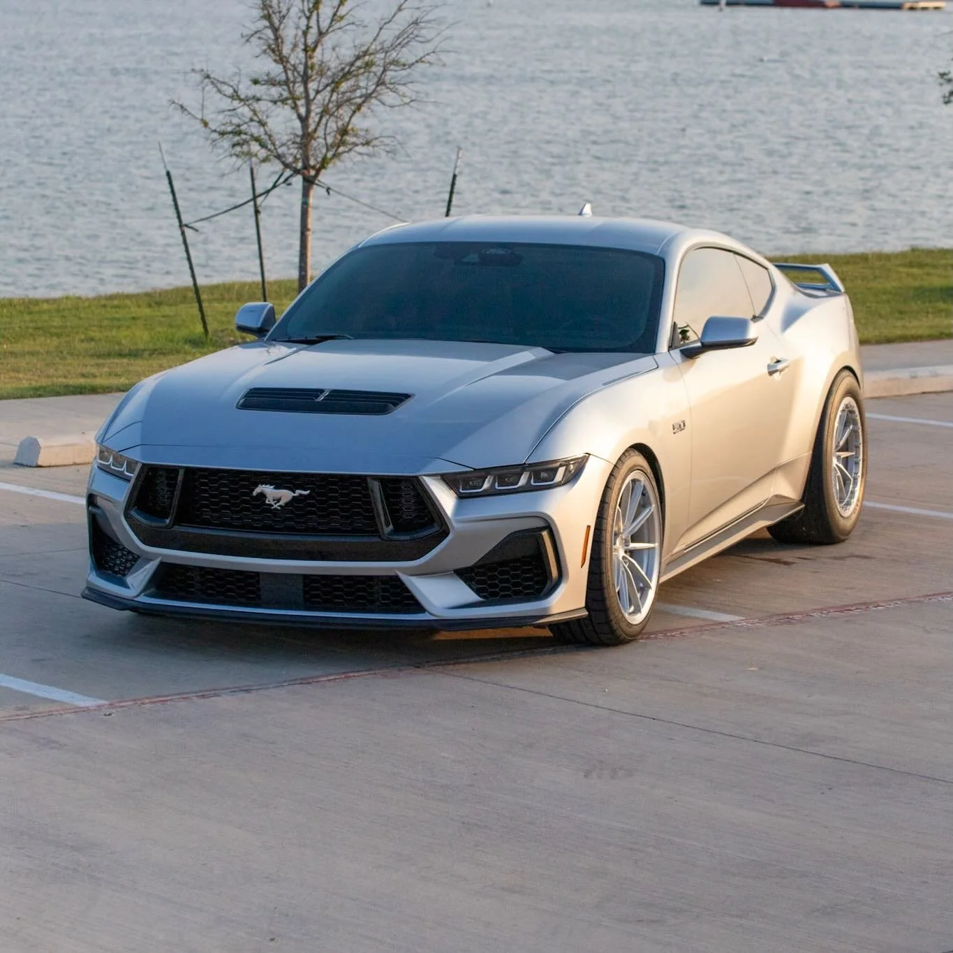 Big Boy Drag Pack for this Whipple Supercharged S650 💨 

Hit us up for your track pack needs! 

💻 www.41forged.com

📧 41forged@gmail.com

#whipplesuperchargers #s650mustang #superchargedmustang #dragpack